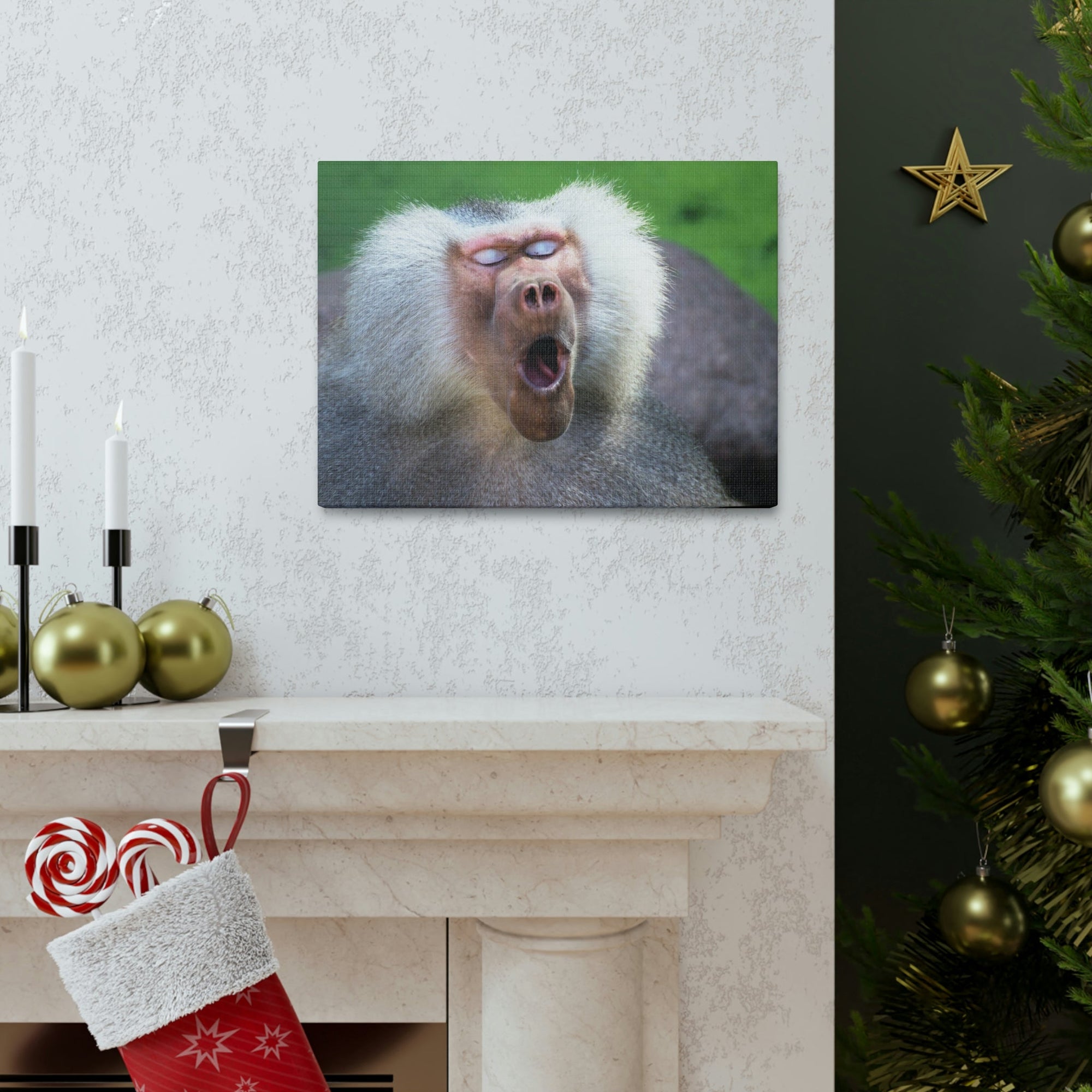 Close Up of Funny Baboon Outside Wall Art Ready to Hang Unframed-Express Your Love Gifts