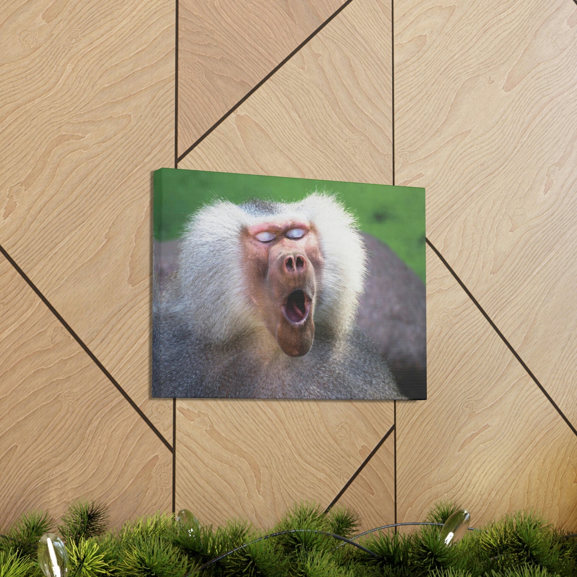 Close Up of Funny Baboon Outside Wall Art Ready to Hang Unframed-Express Your Love Gifts