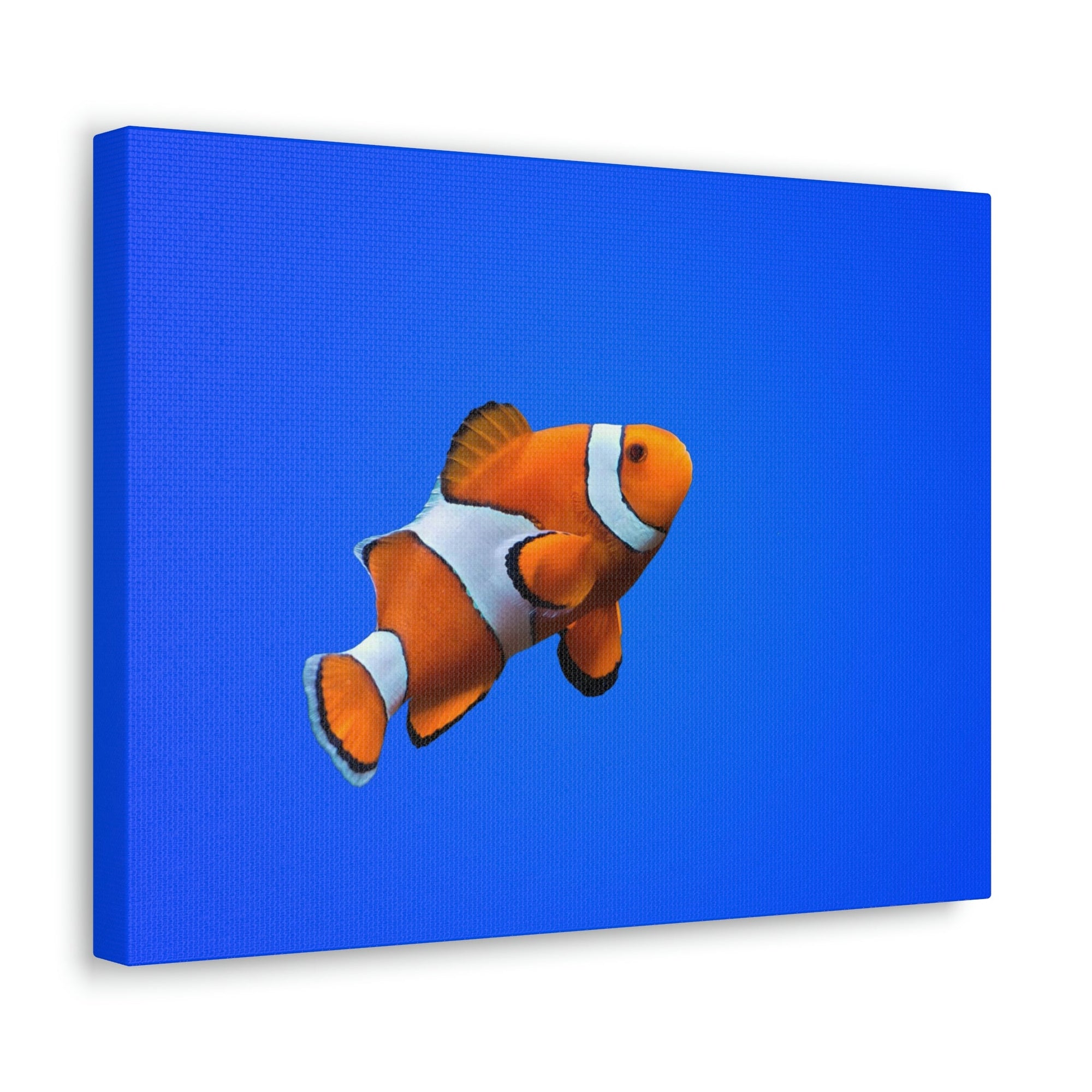 Scripture Walls Clown Fish Hunting Clown Fish on Hunt Print Animal Wall Art Wildlife Canvas Prints Wall Art Ready to Hang Unframed-Express Your Love Gifts