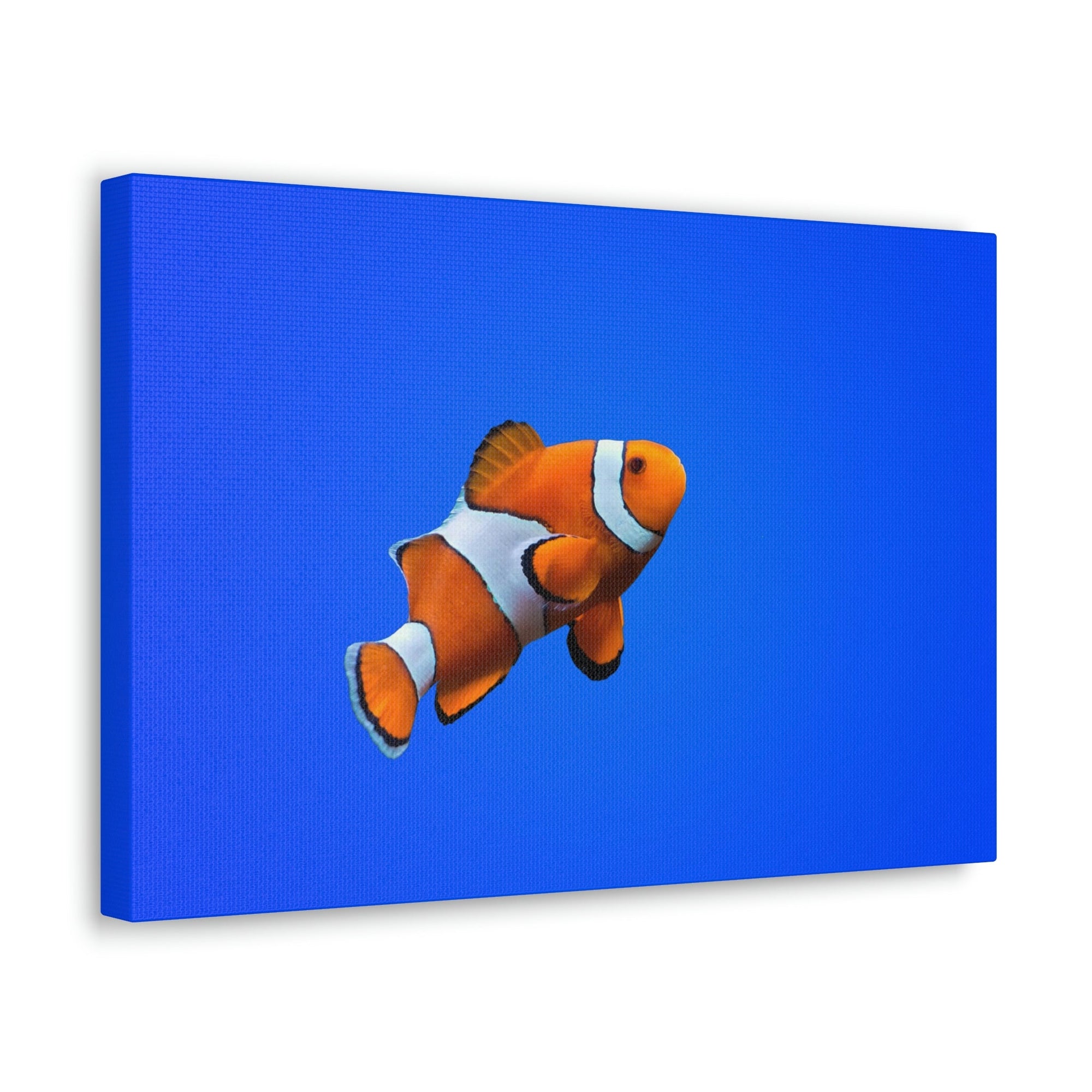 Scripture Walls Clown Fish Hunting Clown Fish on Hunt Print Animal Wall Art Wildlife Canvas Prints Wall Art Ready to Hang Unframed-Express Your Love Gifts