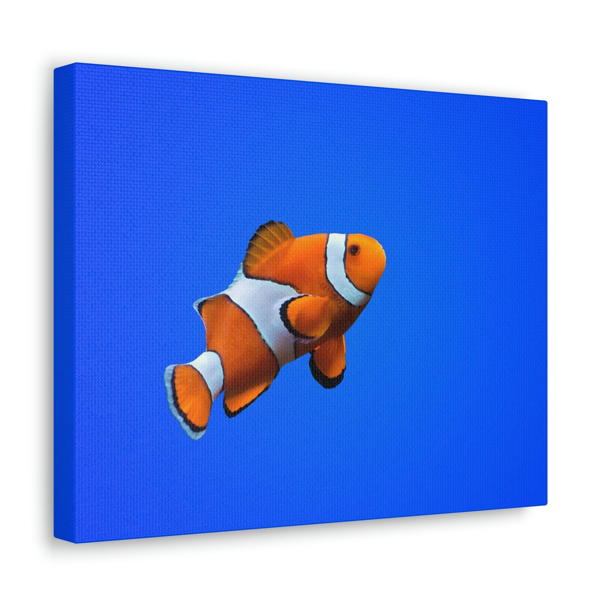 Scripture Walls Clown Fish Hunting Clown Fish on Hunt Print Animal Wall Art Wildlife Canvas Prints Wall Art Ready to Hang Unframed-Express Your Love Gifts