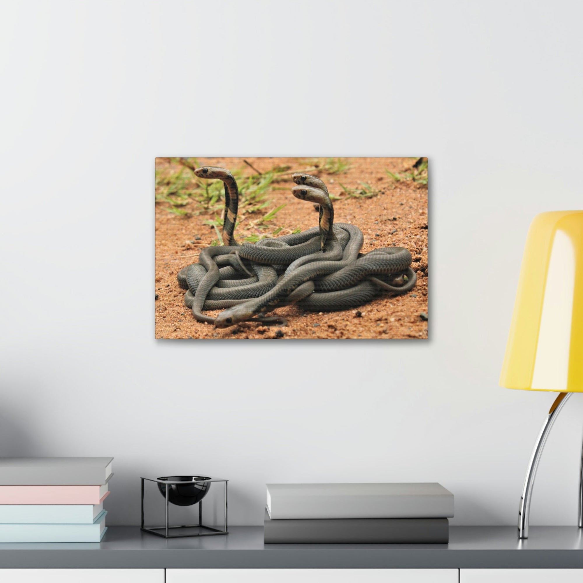 Scripture Walls Cobra Couple Cobra Troop Print Animal Wall Art Wildlife Canvas Prints Wall Art Ready to Hang Unframed-Express Your Love Gifts