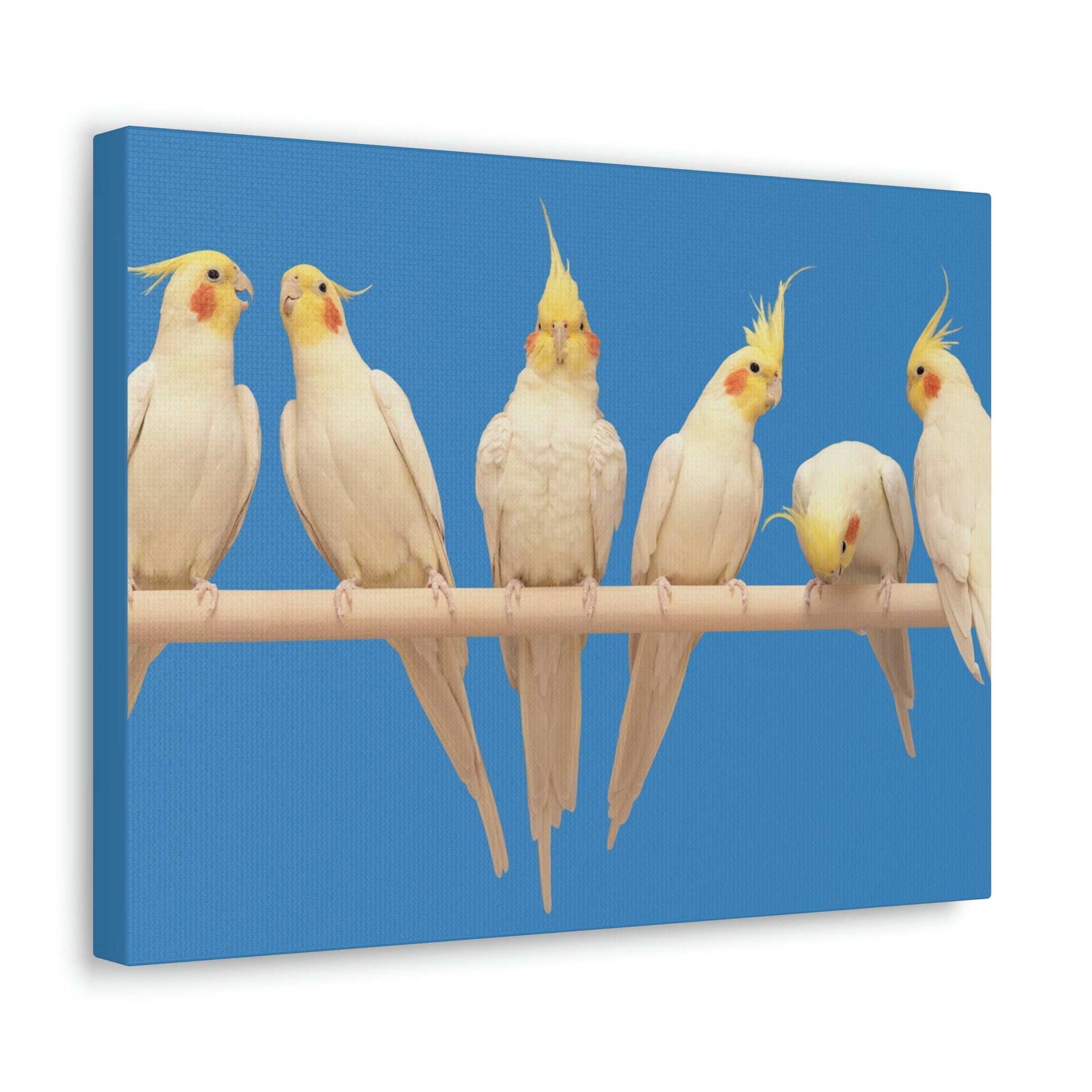 Scripture Walls Cockatiel Couple Cockatiel Troop Print Animal Wall Art Wildlife Canvas Prints Wall Art Ready to Hang Unframed-Express Your Love Gifts