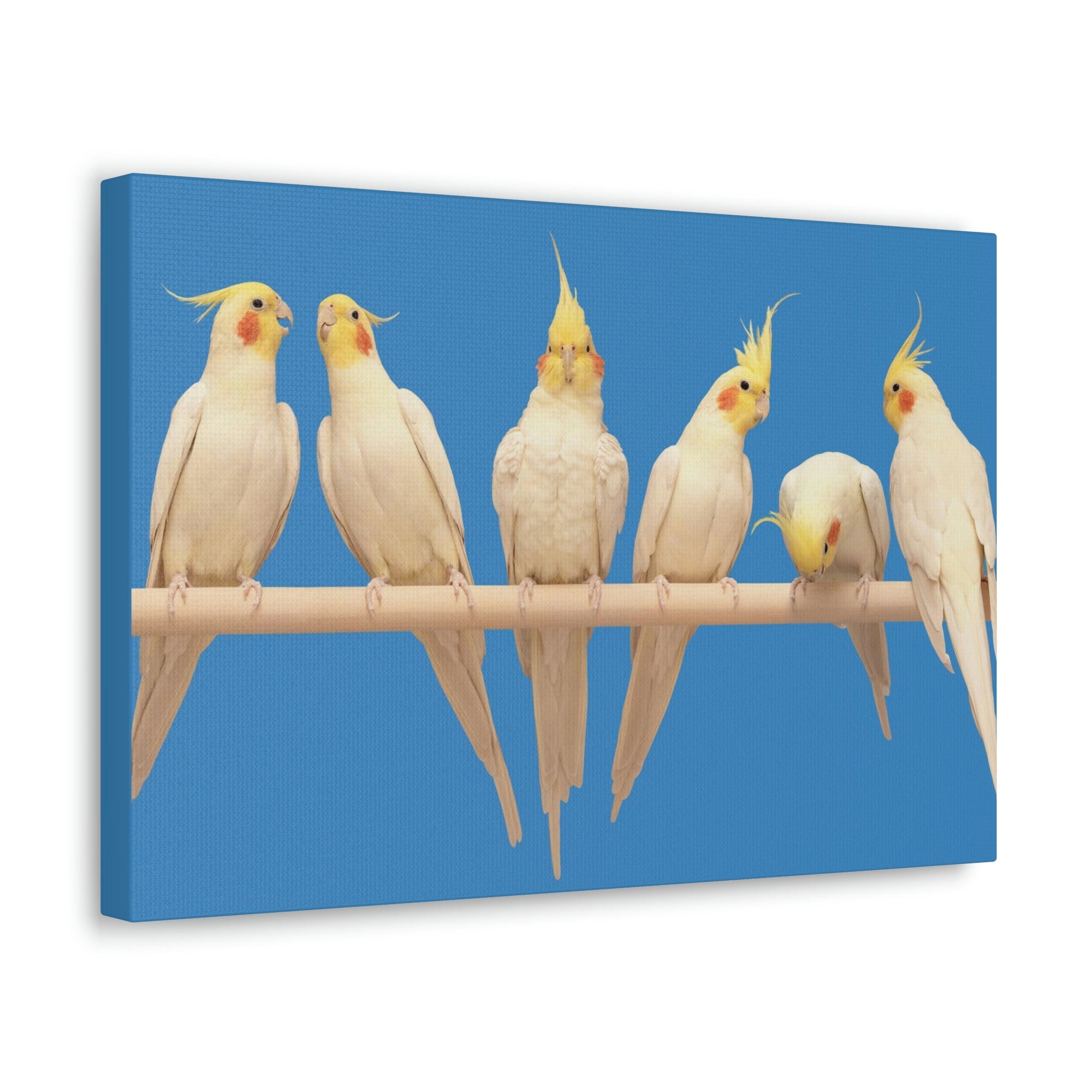 Scripture Walls Cockatiel Couple Cockatiel Troop Print Animal Wall Art Wildlife Canvas Prints Wall Art Ready to Hang Unframed-Express Your Love Gifts