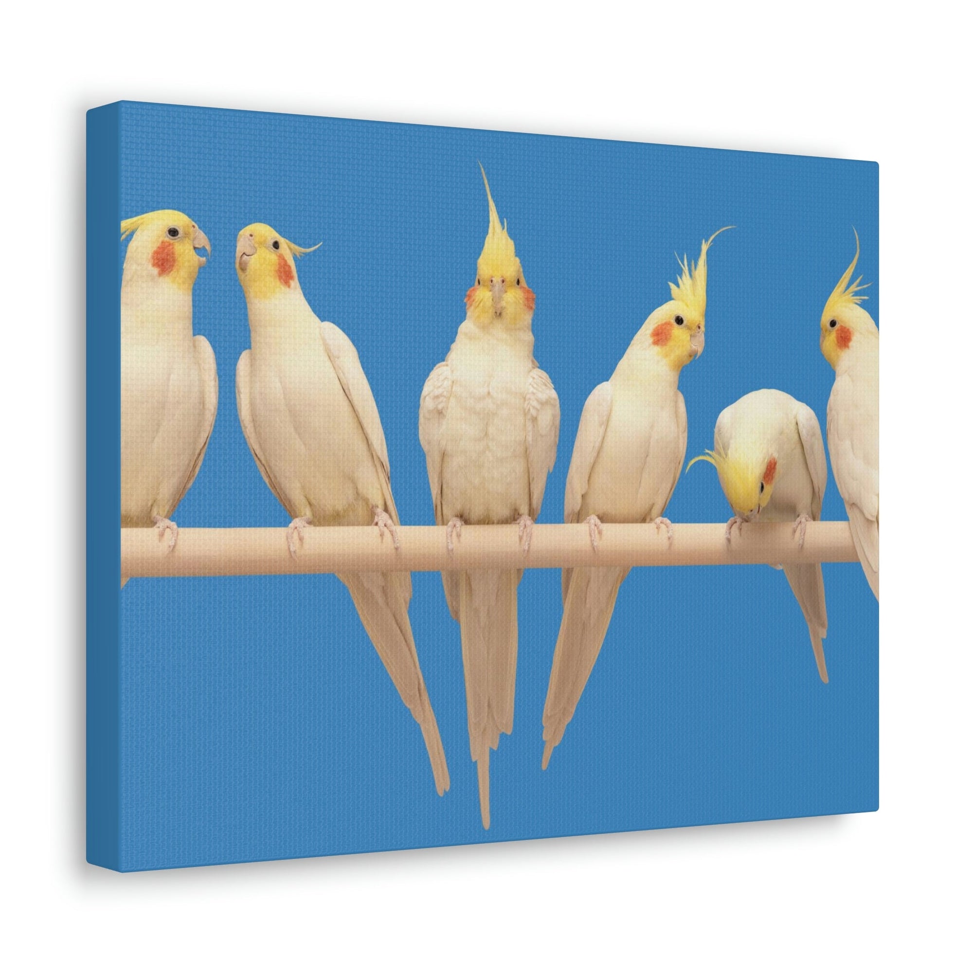 Scripture Walls Cockatiel Couple Cockatiel Troop Print Animal Wall Art Wildlife Canvas Prints Wall Art Ready to Hang Unframed-Express Your Love Gifts