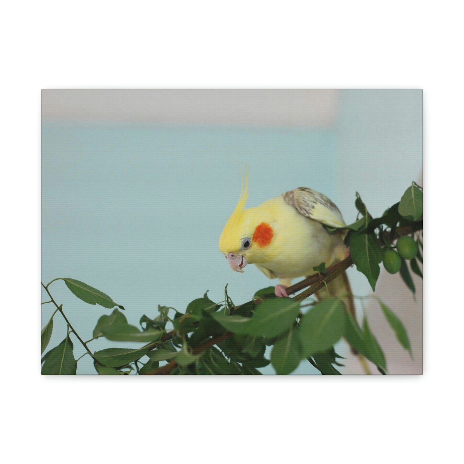 Scripture Walls Cockatiel Hunting Cockatiel on Hunt Print Animal Wall Art Wildlife Canvas Prints Wall Art Ready to Hang Unframed-Express Your Love Gifts