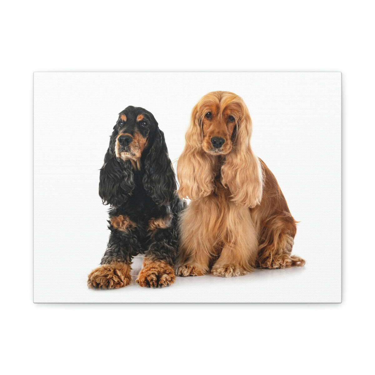 Scripture Walls Cocker Spaniel Couple Cocker Spaniel Troop Print Animal Wall Art Wildlife Canvas Prints Wall Art Ready to Hang Unframed-Express Your Love Gifts