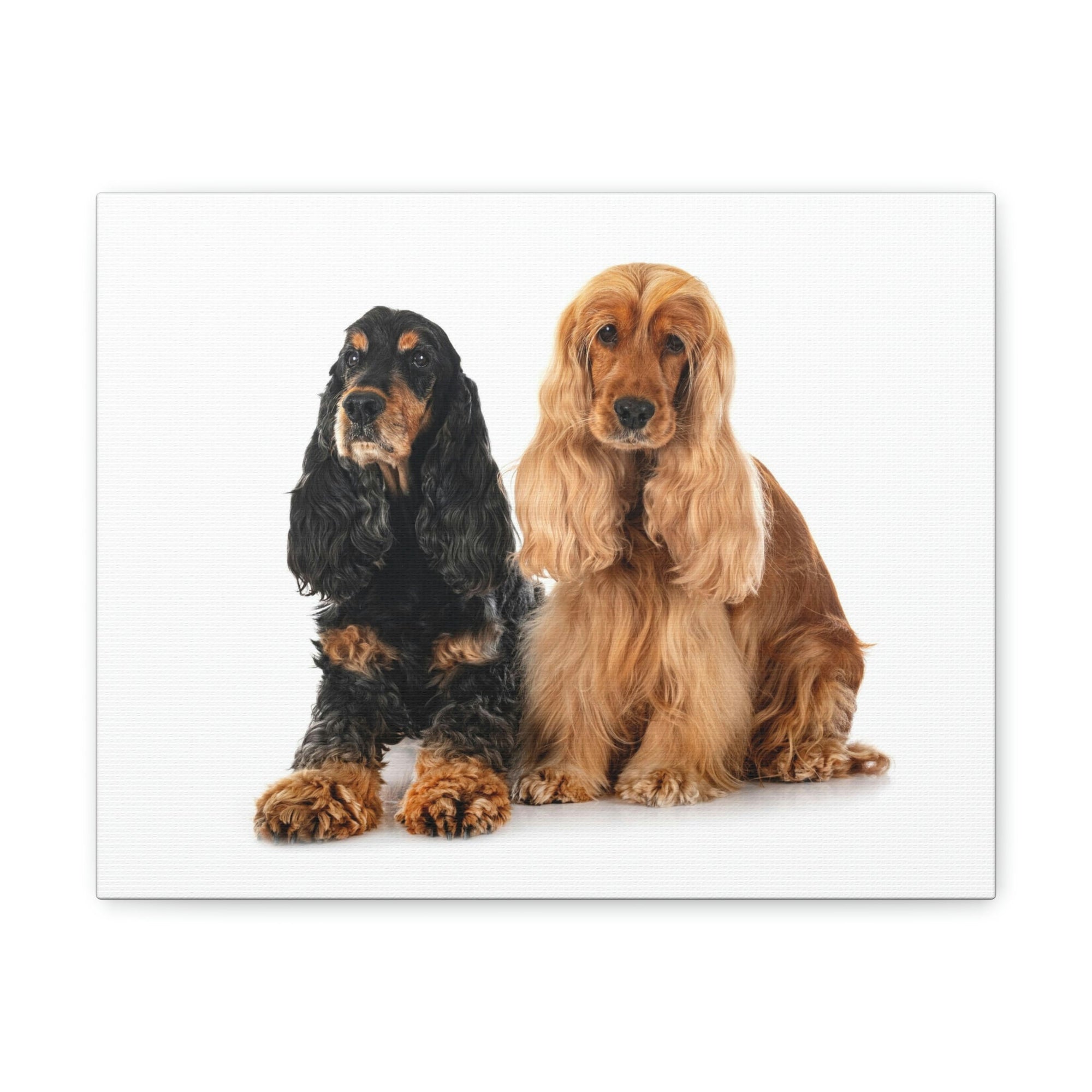 Scripture Walls Cocker Spaniel Couple Cocker Spaniel Troop Print Animal Wall Art Wildlife Canvas Prints Wall Art Ready to Hang Unframed-Express Your Love Gifts