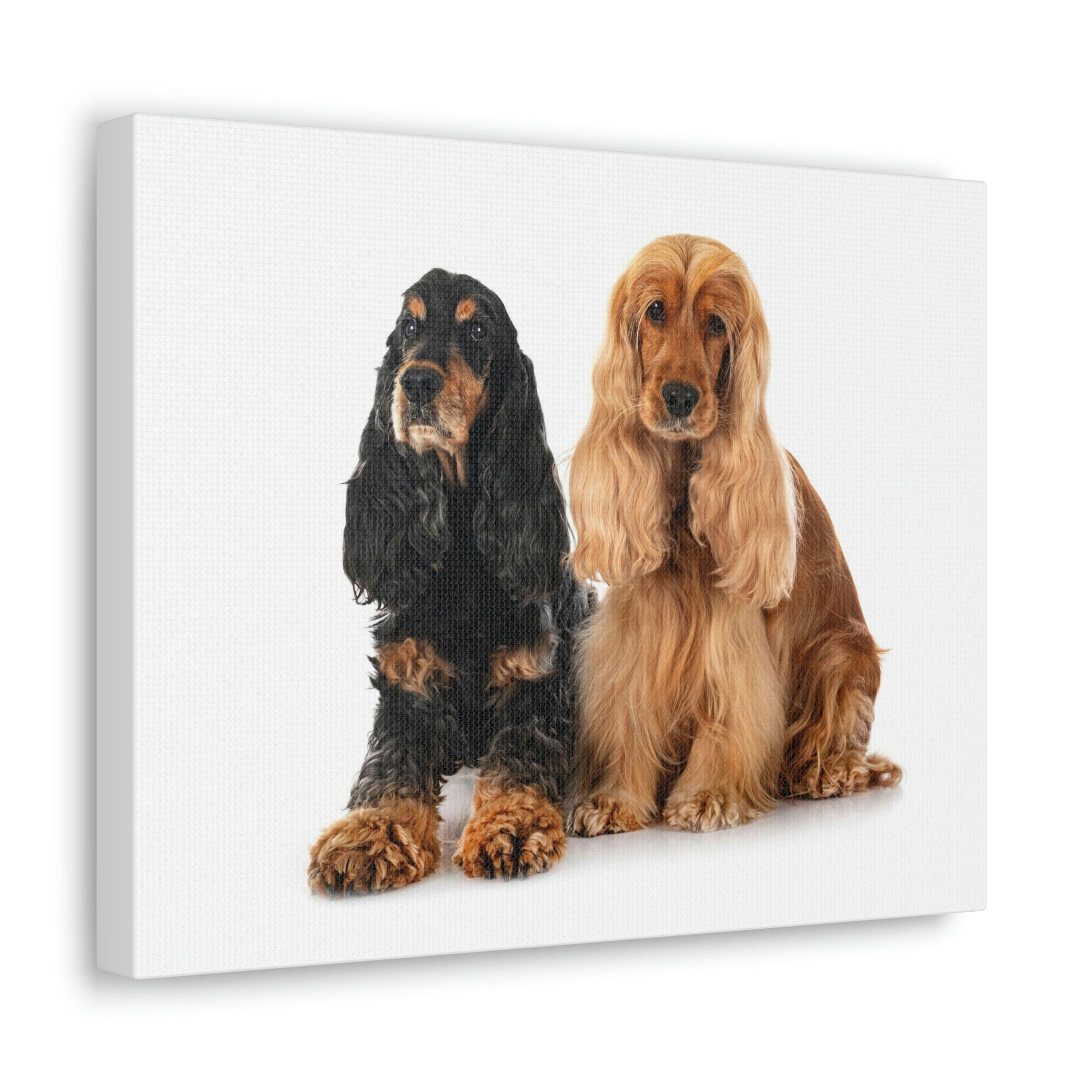 Scripture Walls Cocker Spaniel Couple Cocker Spaniel Troop Print Animal Wall Art Wildlife Canvas Prints Wall Art Ready to Hang Unframed-Express Your Love Gifts