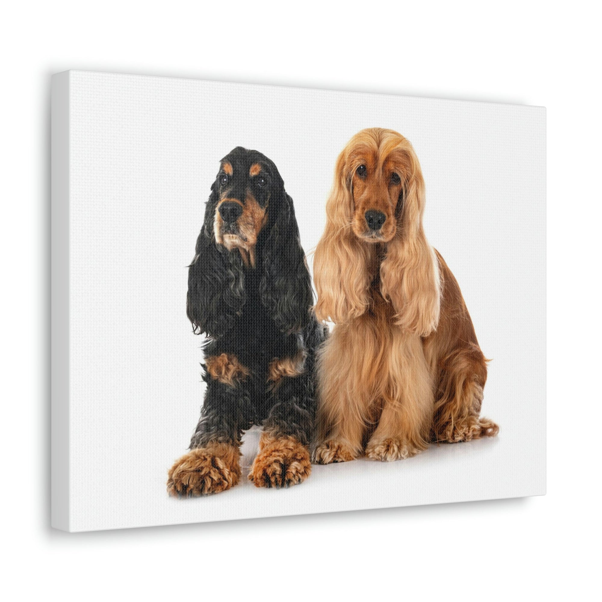 Scripture Walls Cocker Spaniel Couple Cocker Spaniel Troop Print Animal Wall Art Wildlife Canvas Prints Wall Art Ready to Hang Unframed-Express Your Love Gifts