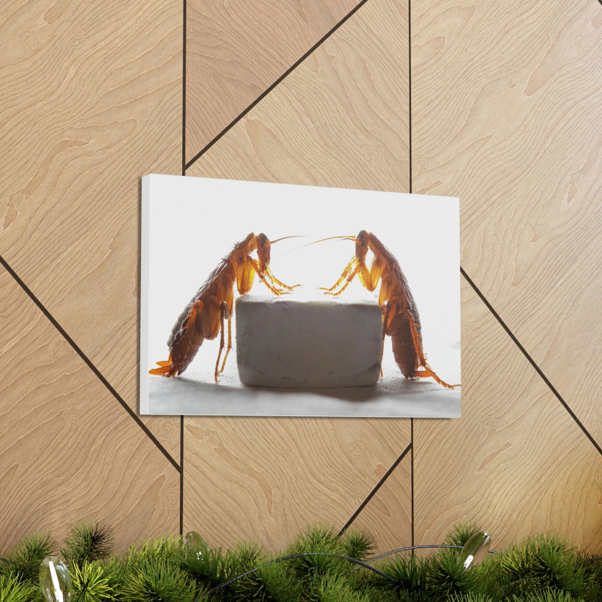 Scripture Walls Cockroach Couple Cockroach Troop Print Animal Wall Art Wildlife Canvas Prints Wall Art Ready to Hang Unframed-Express Your Love Gifts