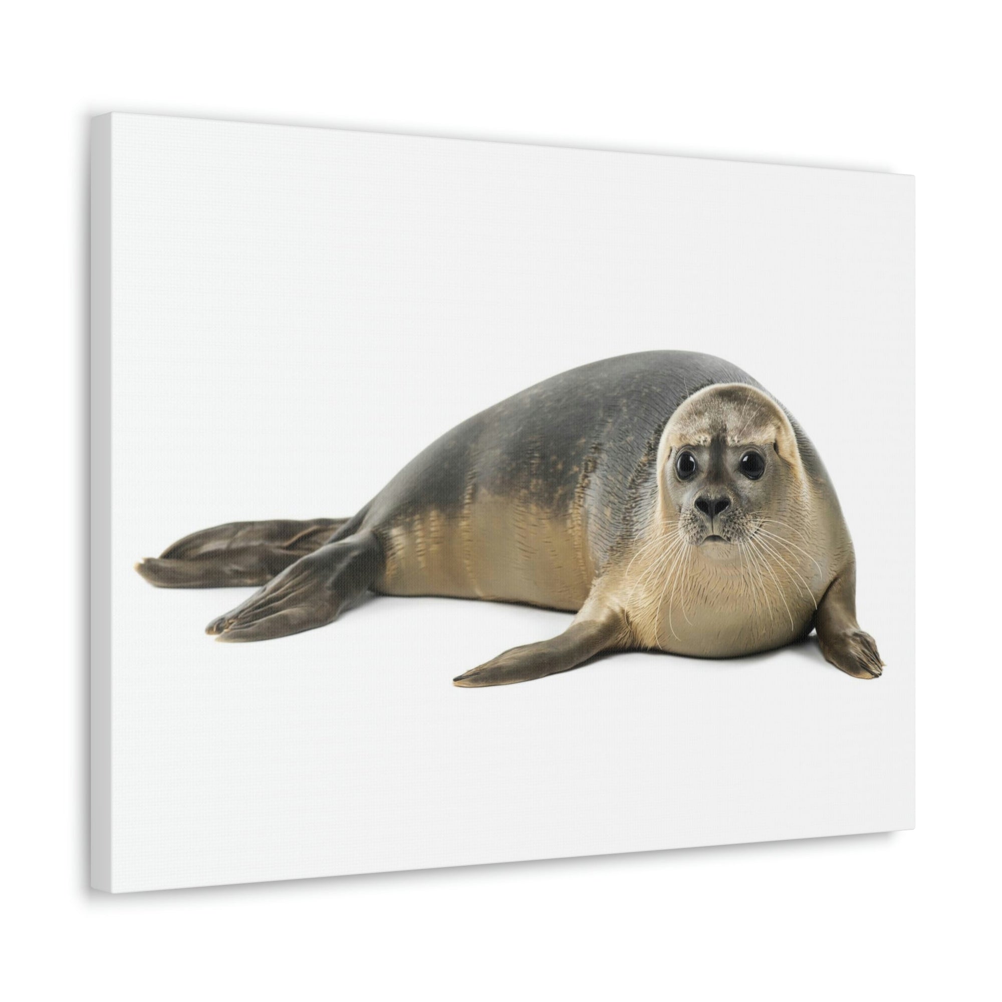 Scripture Walls Common Seal Hunting Common Seal on Hunt Print Animal Wall Art Wildlife Canvas Prints Wall Art Ready to Hang Unframed-Express Your Love Gifts