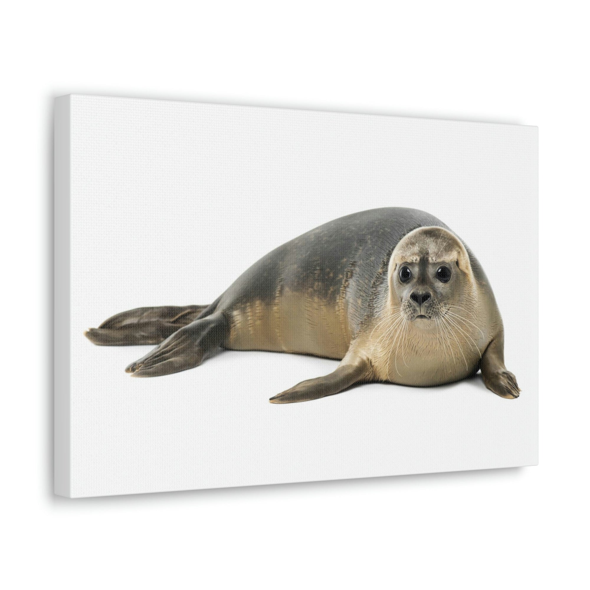 Scripture Walls Common Seal Hunting Common Seal on Hunt Print Animal Wall Art Wildlife Canvas Prints Wall Art Ready to Hang Unframed-Express Your Love Gifts