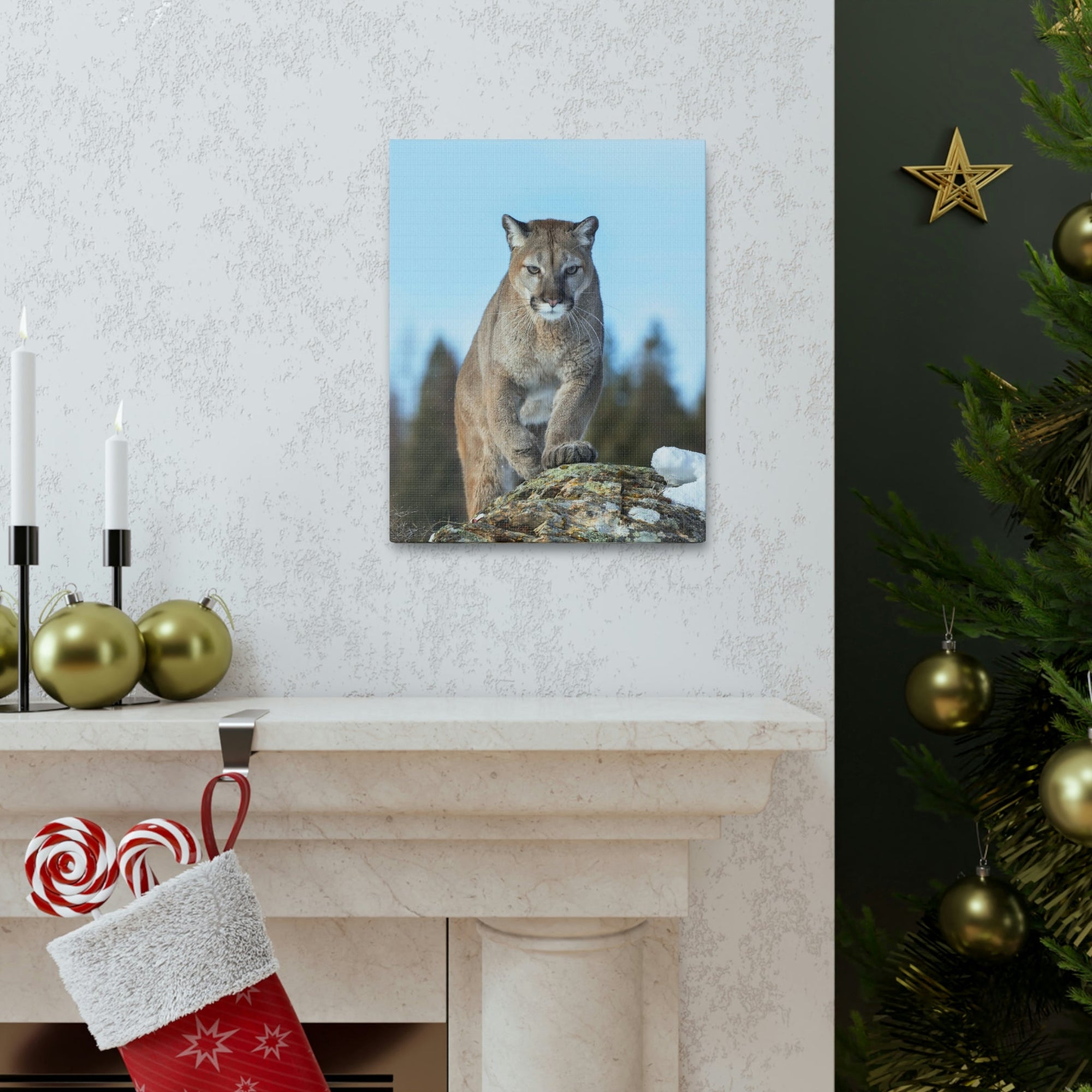 Scripture Walls Cougar Hunting Cougar on Hunt Print Animal Wall Art Wildlife Canvas Prints Wall Art Ready to Hang Unframed-Express Your Love Gifts