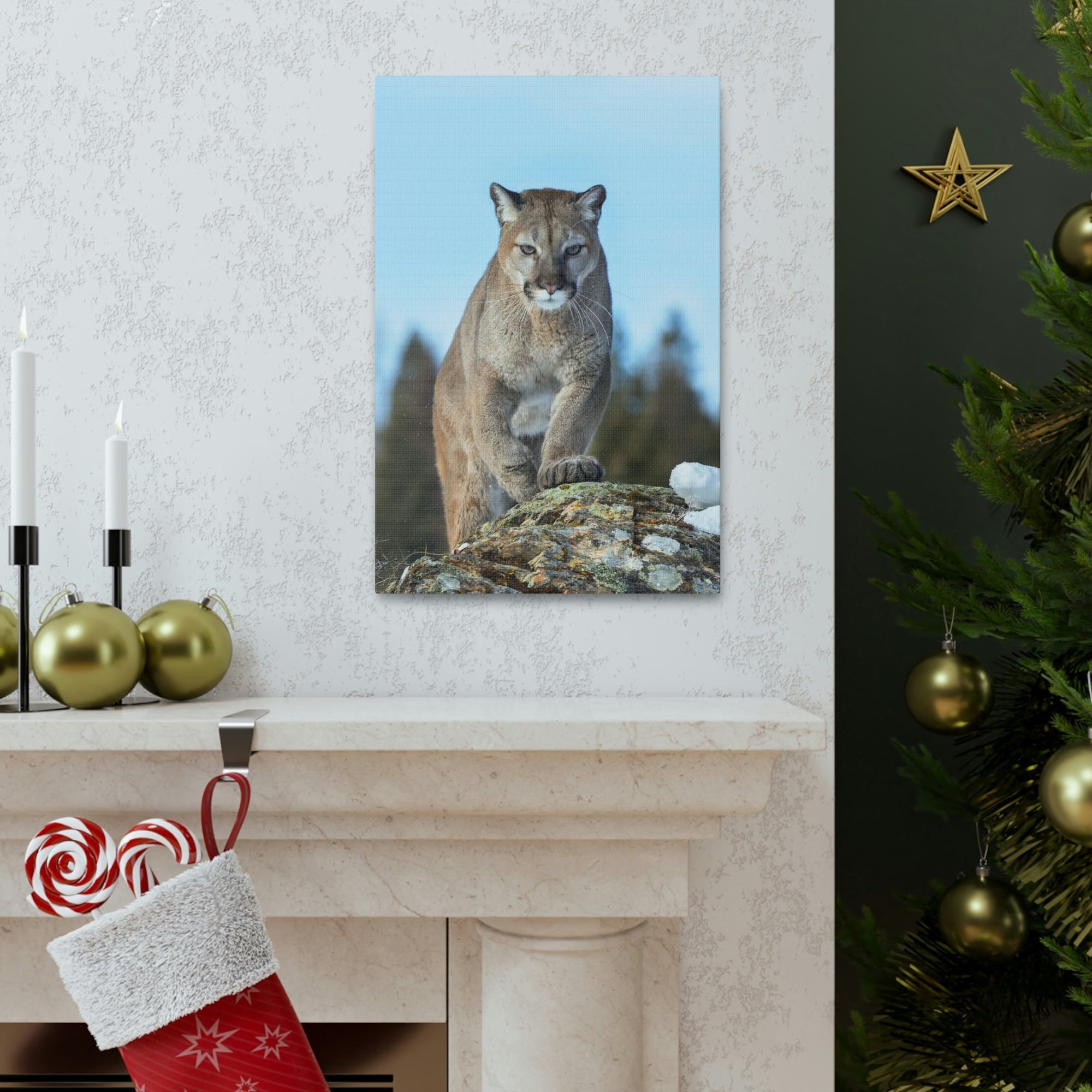 Scripture Walls Cougar Hunting Cougar on Hunt Print Animal Wall Art Wildlife Canvas Prints Wall Art Ready to Hang Unframed-Express Your Love Gifts