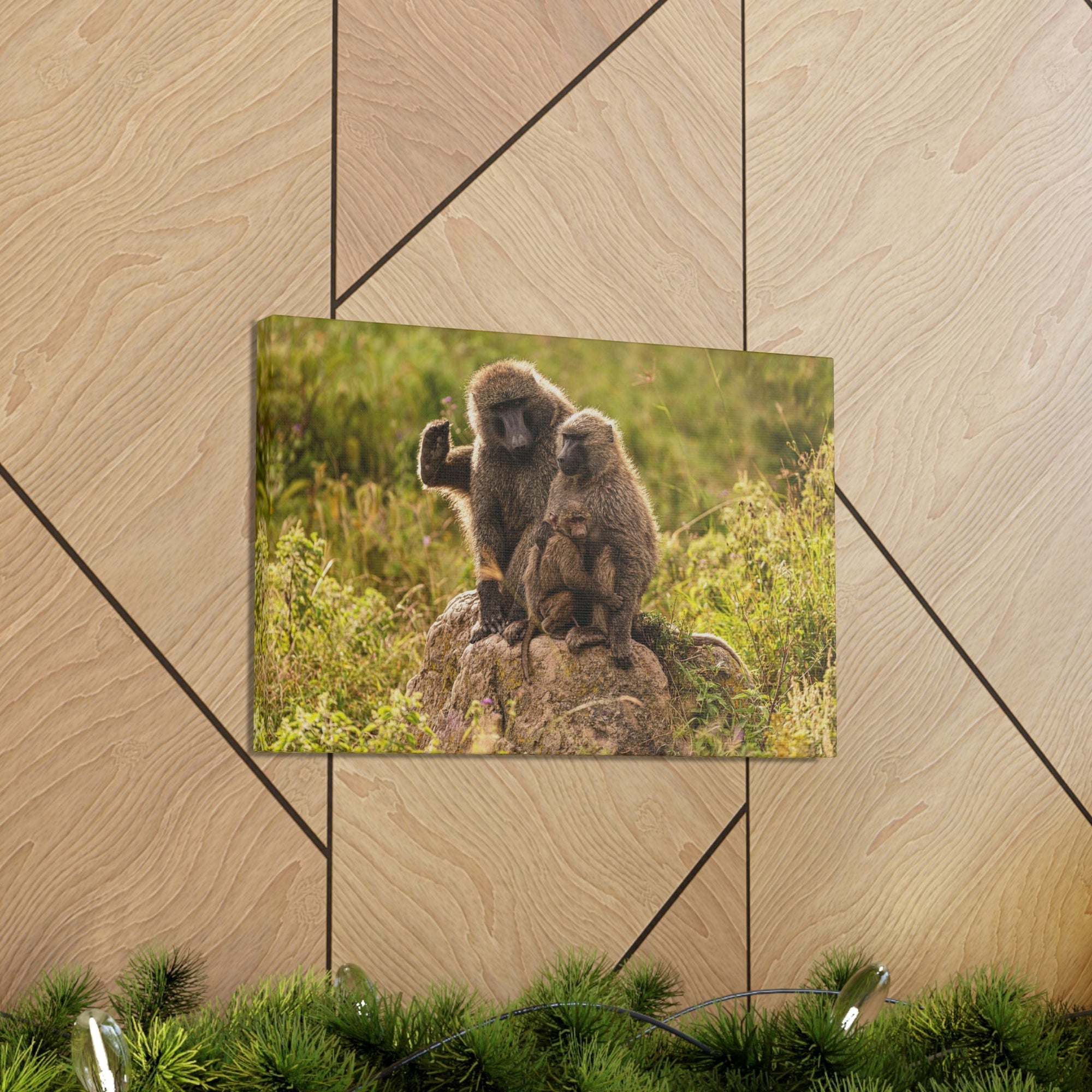 Scripture Walls Couple Baboon Couple Couple Baboon Troop Print Animal Wall Art Wildlife Canvas Prints Wall Art Ready to Hang Unframed-Express Your Love Gifts