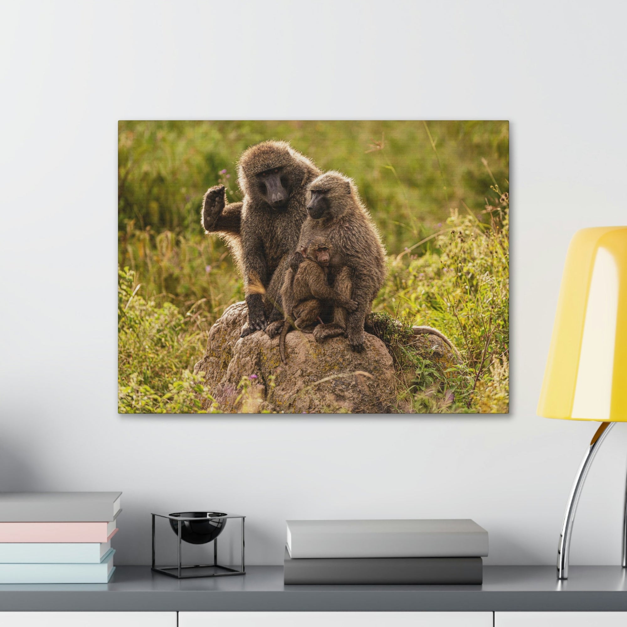 Scripture Walls Couple Baboon Couple Couple Baboon Troop Print Animal Wall Art Wildlife Canvas Prints Wall Art Ready to Hang Unframed-Express Your Love Gifts