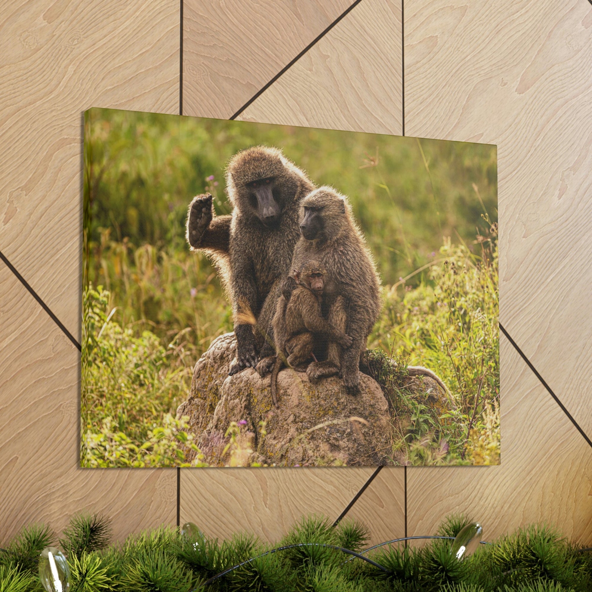 Scripture Walls Couple Baboon Couple Couple Baboon Troop Print Animal Wall Art Wildlife Canvas Prints Wall Art Ready to Hang Unframed-Express Your Love Gifts