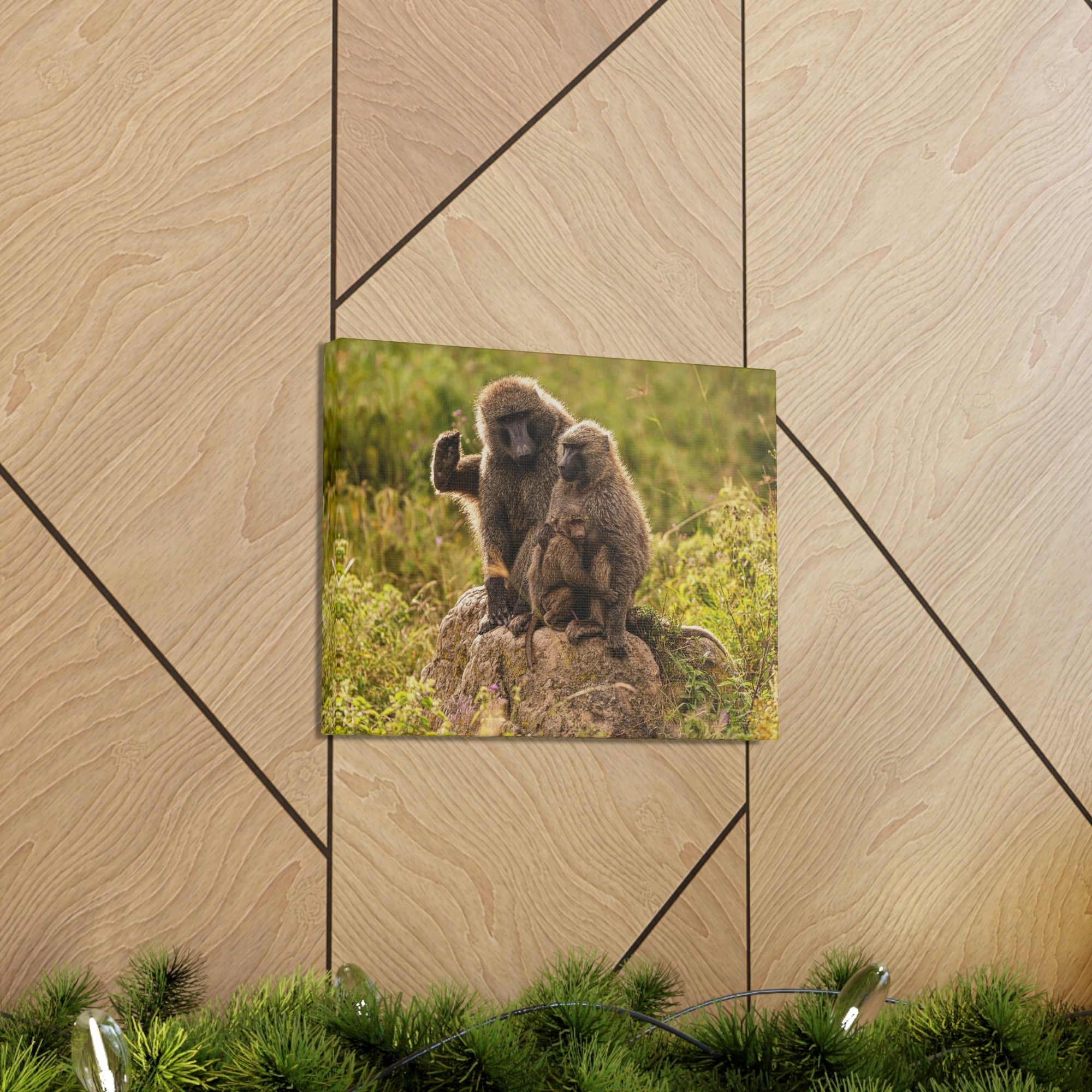 Scripture Walls Couple Baboon Couple Couple Baboon Troop Print Animal Wall Art Wildlife Canvas Prints Wall Art Ready to Hang Unframed-Express Your Love Gifts