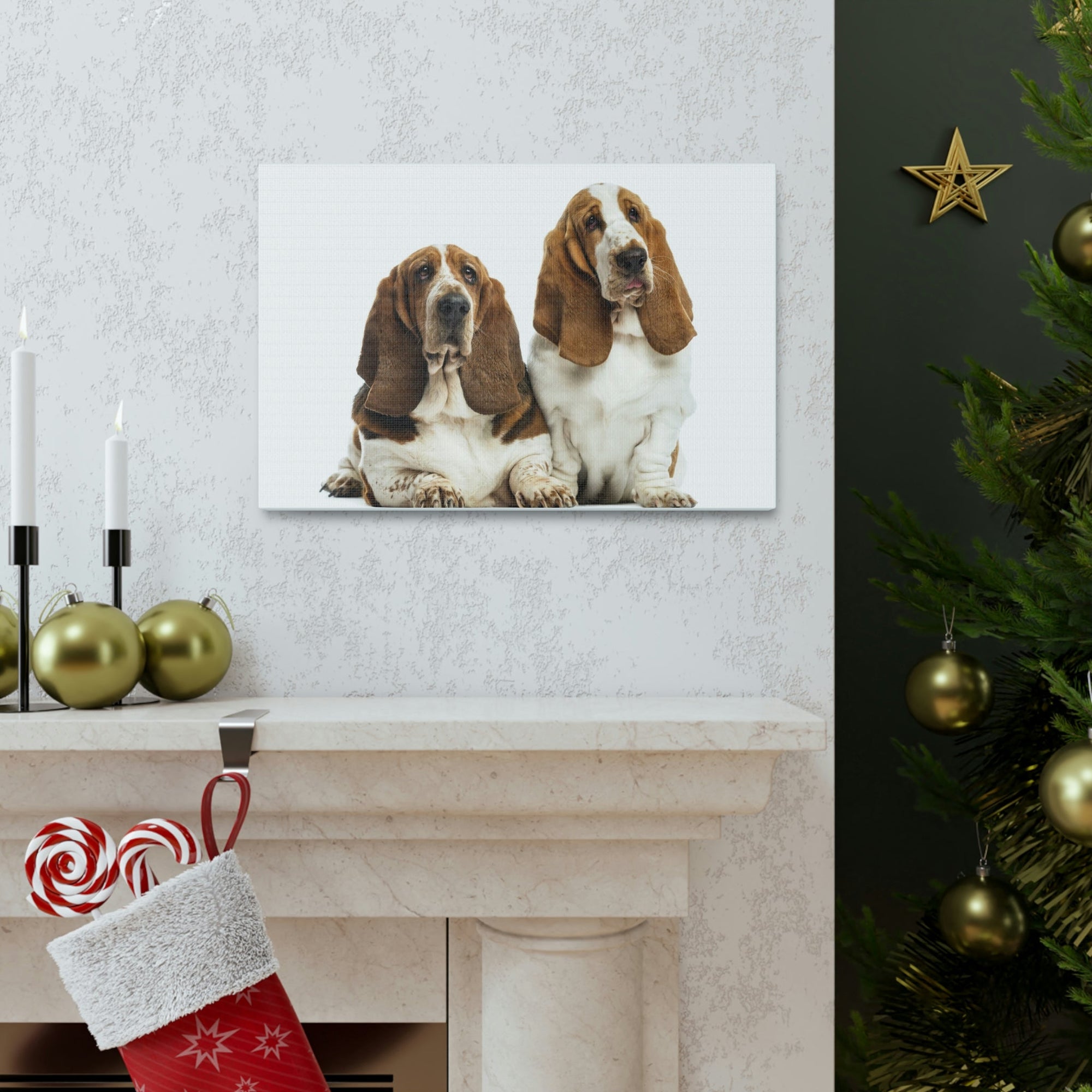 Scripture Walls Couple of Basset Hound Dogs Print Animal Wall Art Wildlife Canvas Prints Wall Art Ready to Hang Unframed-Express Your Love Gifts