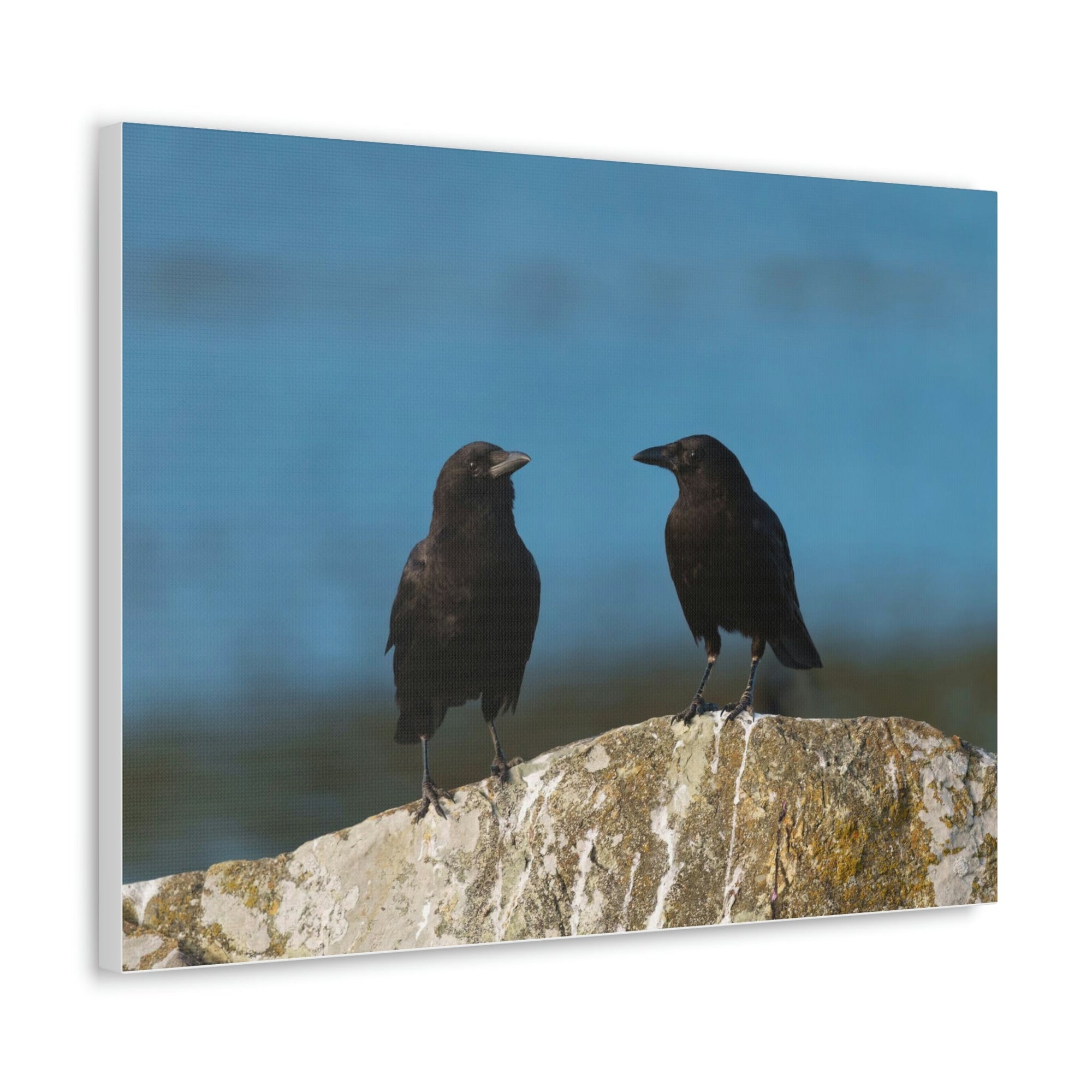 Scripture Walls Couple of Crow Chatting Print Animal Wall Art Wildlife Canvas Prints Wall Art Ready to Hang Unframed-Express Your Love Gifts