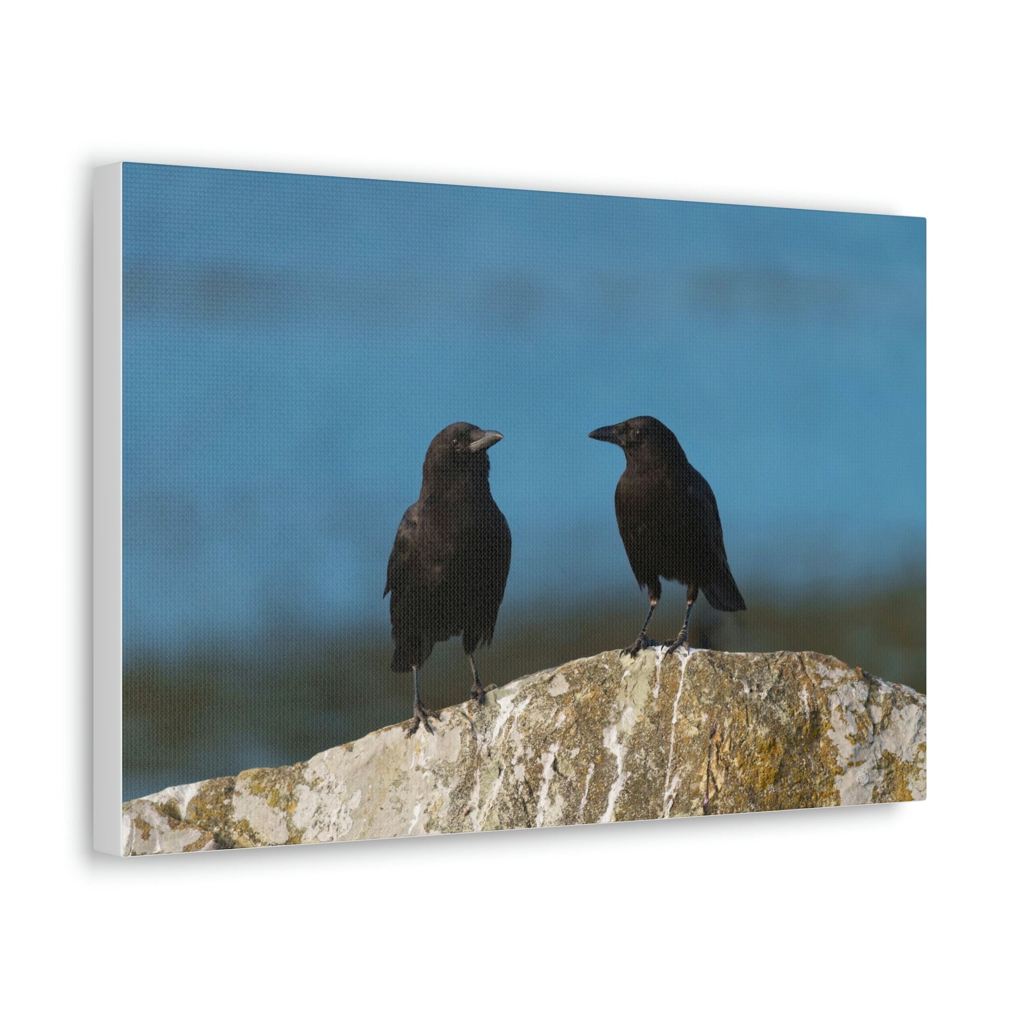 Scripture Walls Couple of Crow Chatting Print Animal Wall Art Wildlife Canvas Prints Wall Art Ready to Hang Unframed-Express Your Love Gifts