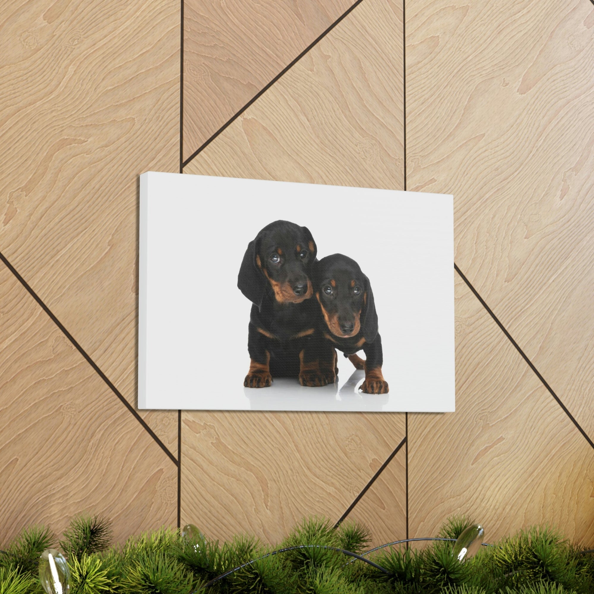 Scripture Walls Couple of Cute Dacshund Print Animal Wall Art Wildlife Canvas Prints Wall Art Ready to Hang Unframed-Express Your Love Gifts