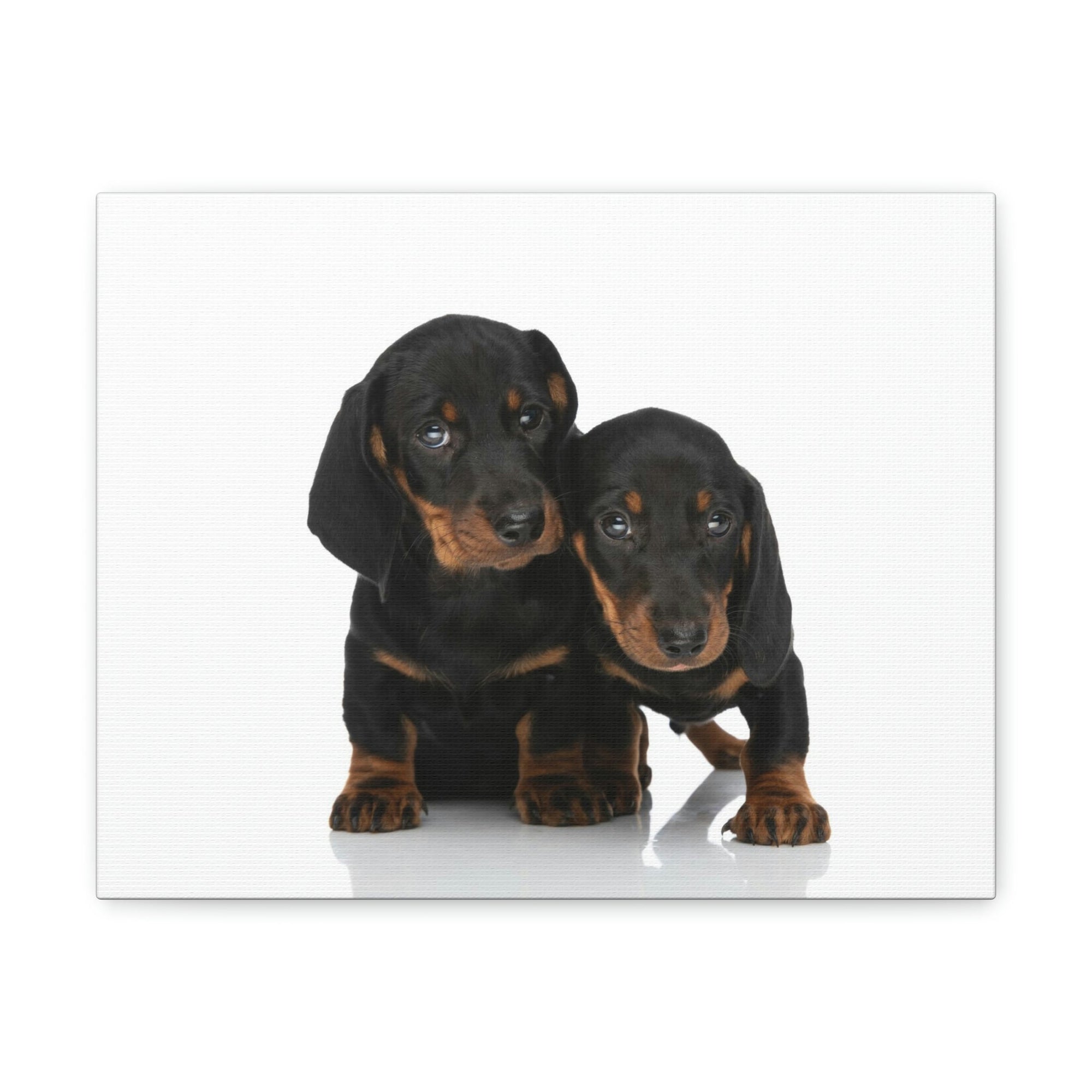 Scripture Walls Couple of Cute Dacshund Print Animal Wall Art Wildlife Canvas Prints Wall Art Ready to Hang Unframed-Express Your Love Gifts