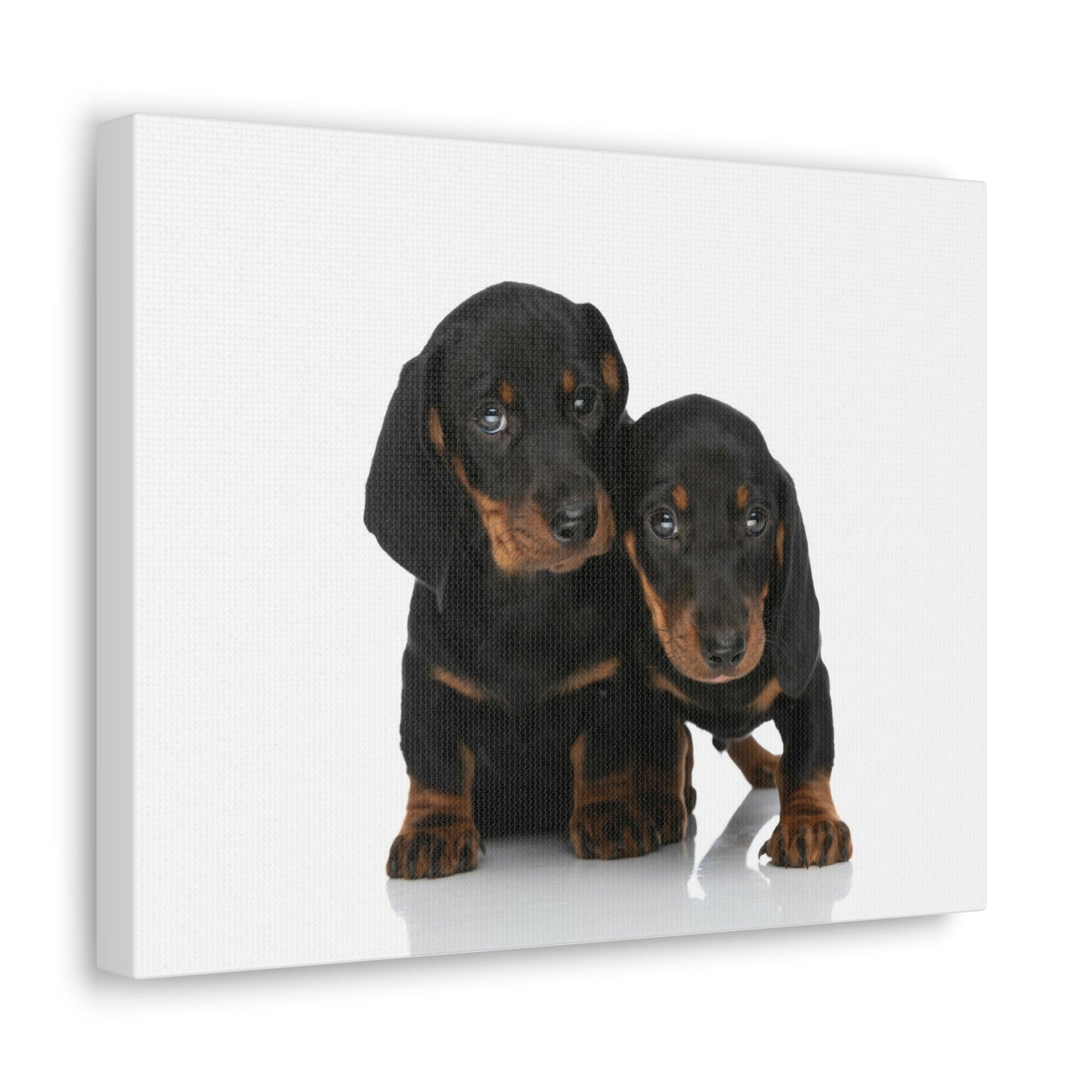 Scripture Walls Couple of Cute Dacshund Print Animal Wall Art Wildlife Canvas Prints Wall Art Ready to Hang Unframed-Express Your Love Gifts