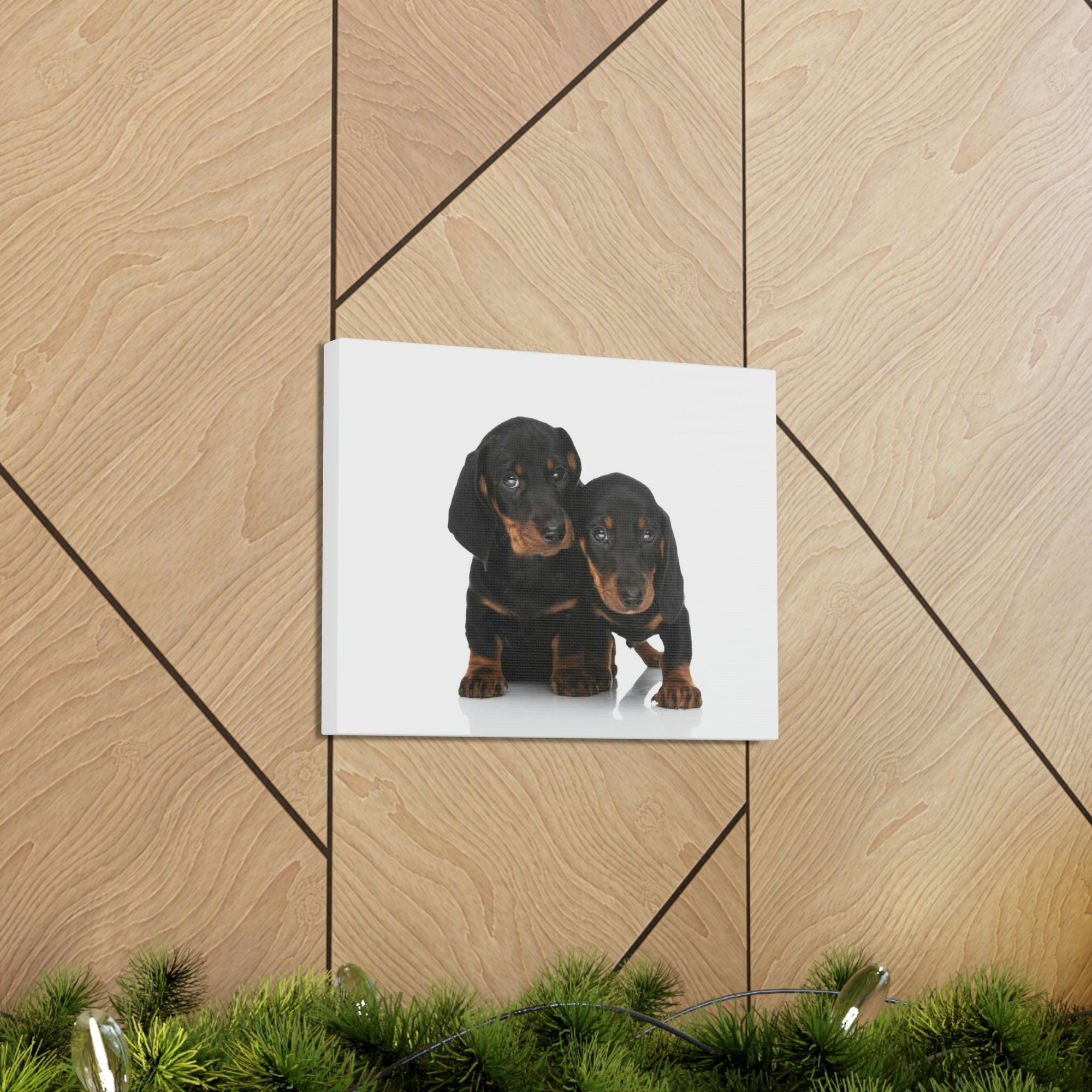 Scripture Walls Couple of Cute Dacshund Print Animal Wall Art Wildlife Canvas Prints Wall Art Ready to Hang Unframed-Express Your Love Gifts