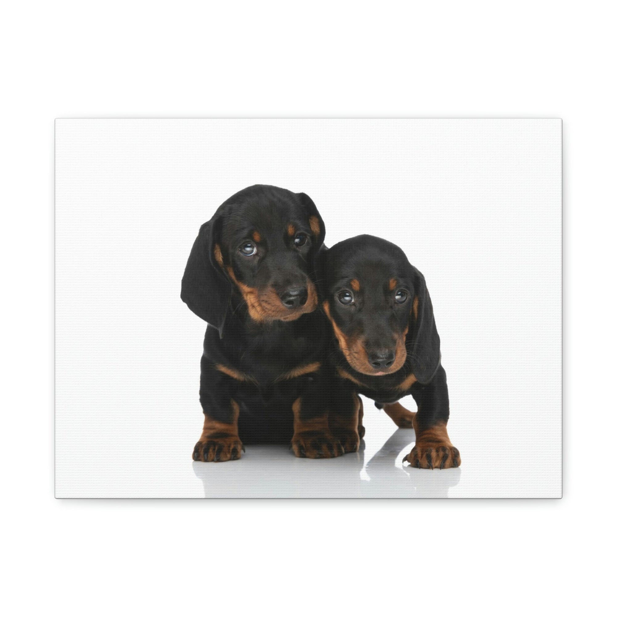 Scripture Walls Couple of Cute Dacshund Print Animal Wall Art Wildlife Canvas Prints Wall Art Ready to Hang Unframed-Express Your Love Gifts