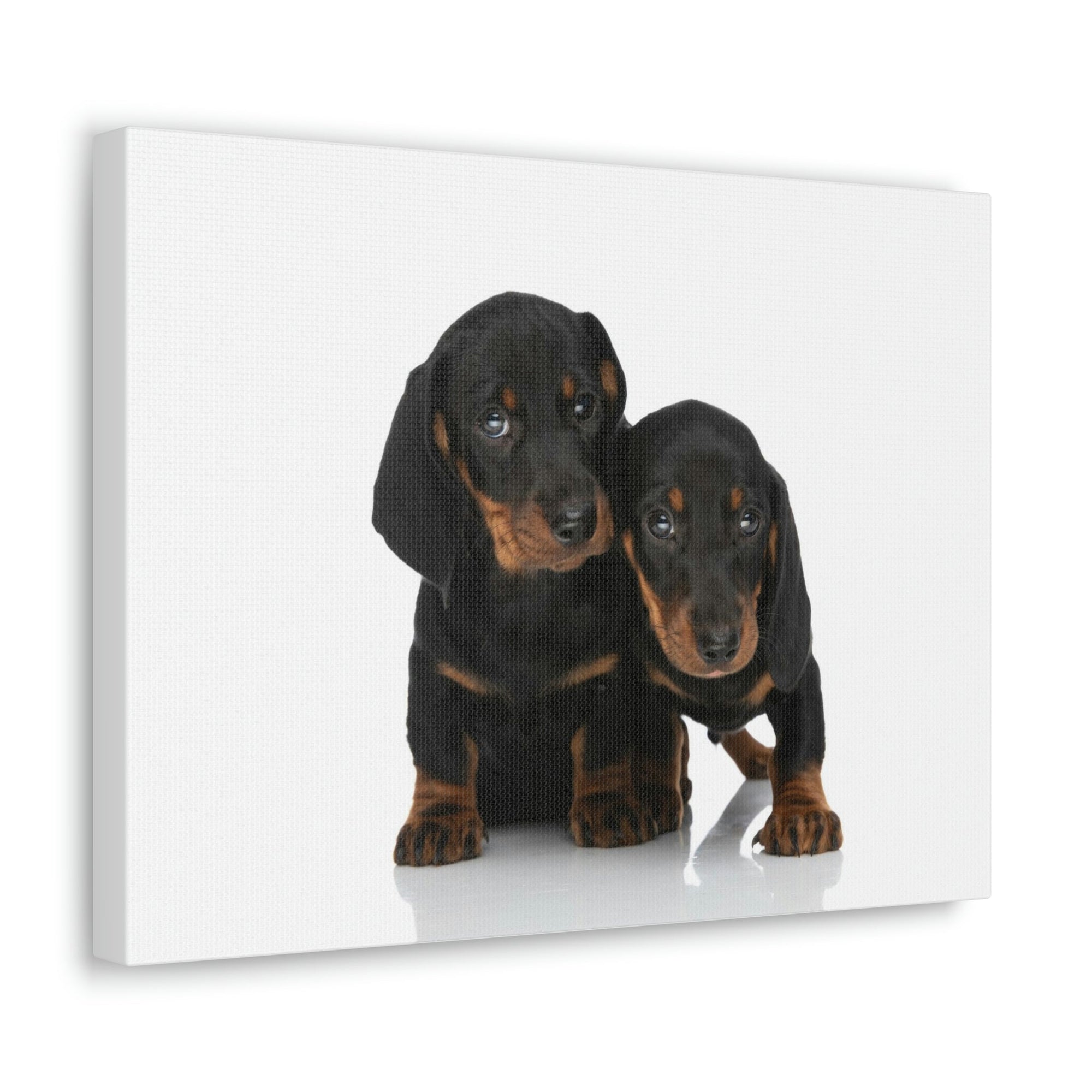 Scripture Walls Couple of Cute Dacshund Print Animal Wall Art Wildlife Canvas Prints Wall Art Ready to Hang Unframed-Express Your Love Gifts