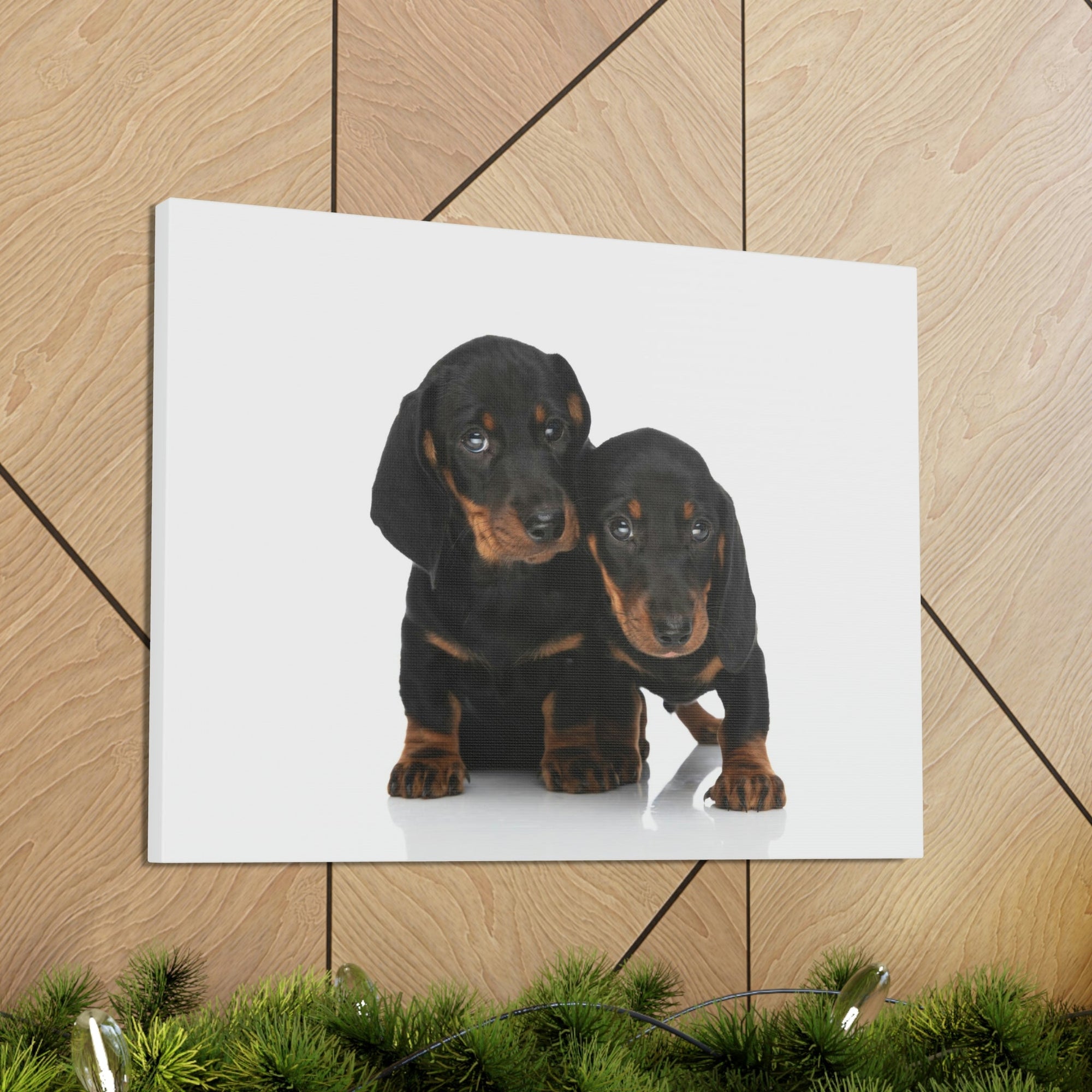 Scripture Walls Couple of Cute Dacshund Print Animal Wall Art Wildlife Canvas Prints Wall Art Ready to Hang Unframed-Express Your Love Gifts