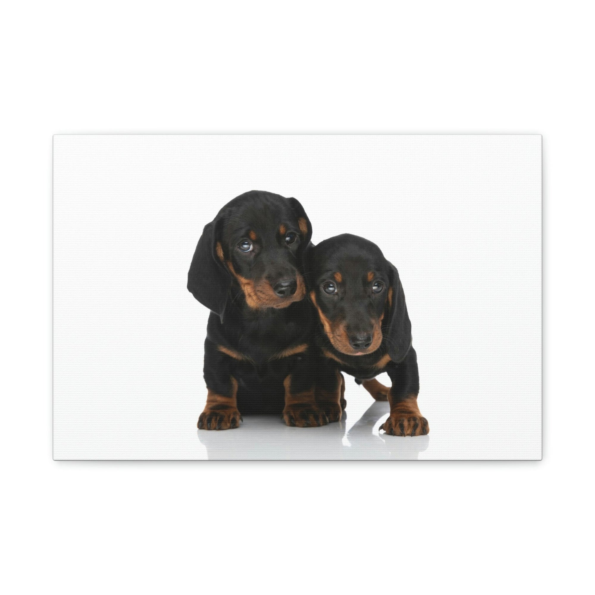 Scripture Walls Couple of Cute Dacshund Print Animal Wall Art Wildlife Canvas Prints Wall Art Ready to Hang Unframed-Express Your Love Gifts