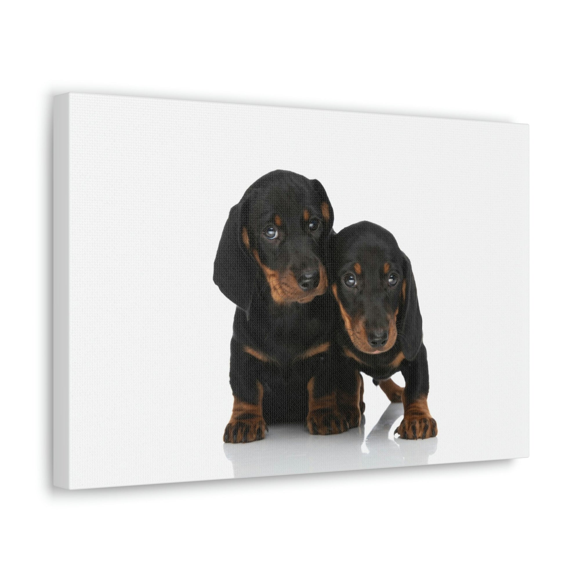 Scripture Walls Couple of Cute Dacshund Print Animal Wall Art Wildlife Canvas Prints Wall Art Ready to Hang Unframed-Express Your Love Gifts