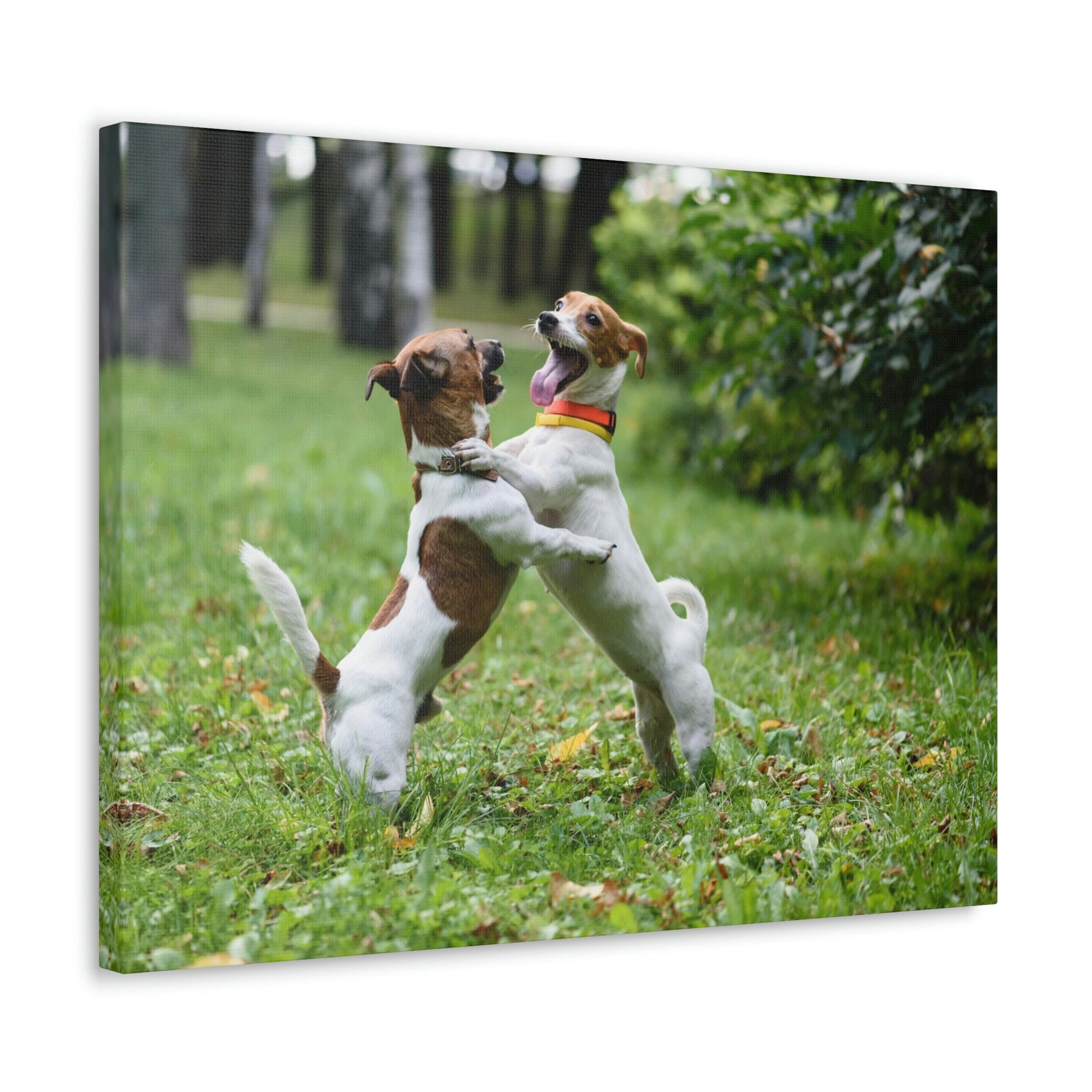 Scripture Walls Couple of Dog Playing on a Park Print Animal Wall Art Wildlife Canvas Prints Wall Art Ready to Hang Unframed-Express Your Love Gifts