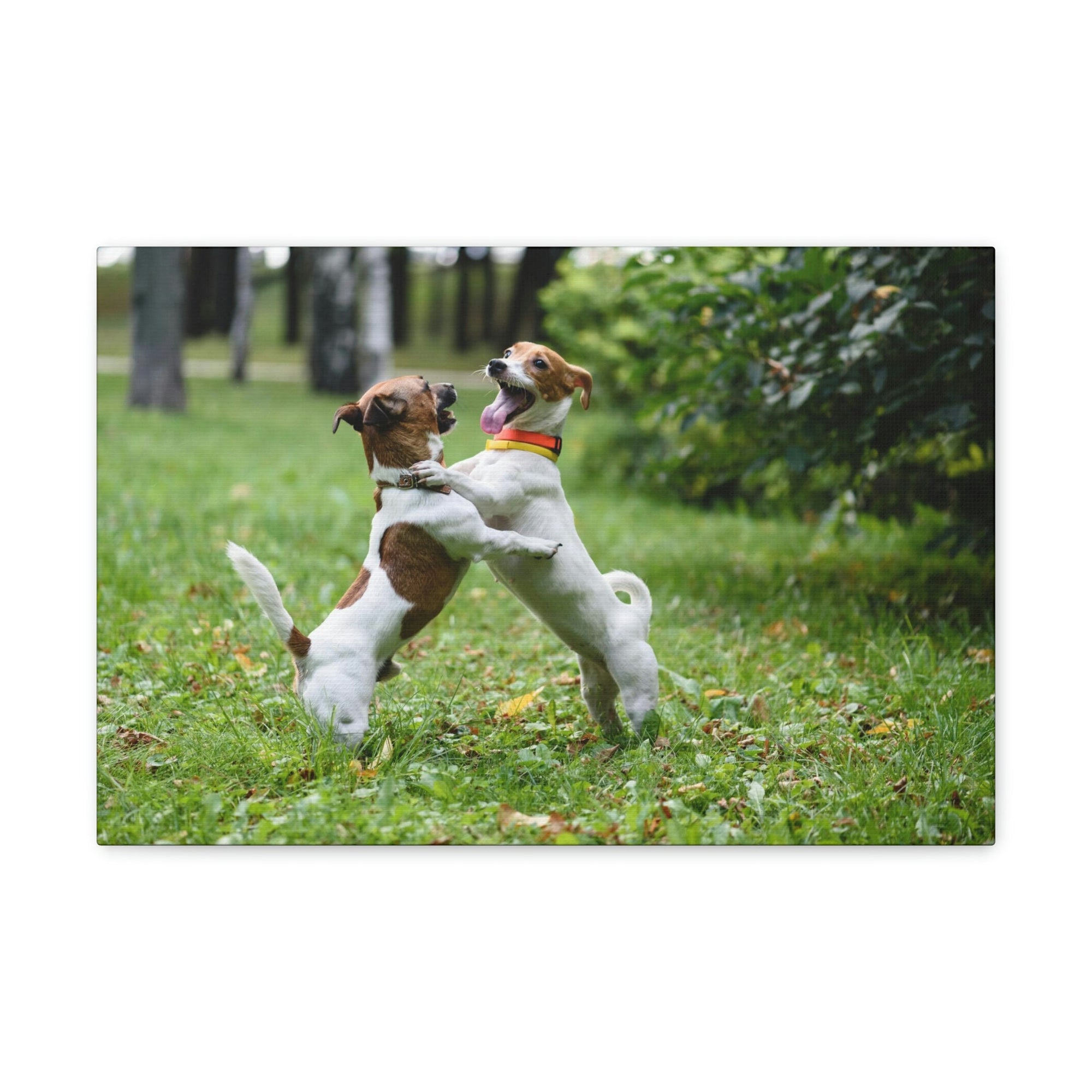 Scripture Walls Couple of Dog Playing on a Park Print Animal Wall Art Wildlife Canvas Prints Wall Art Ready to Hang Unframed-Express Your Love Gifts