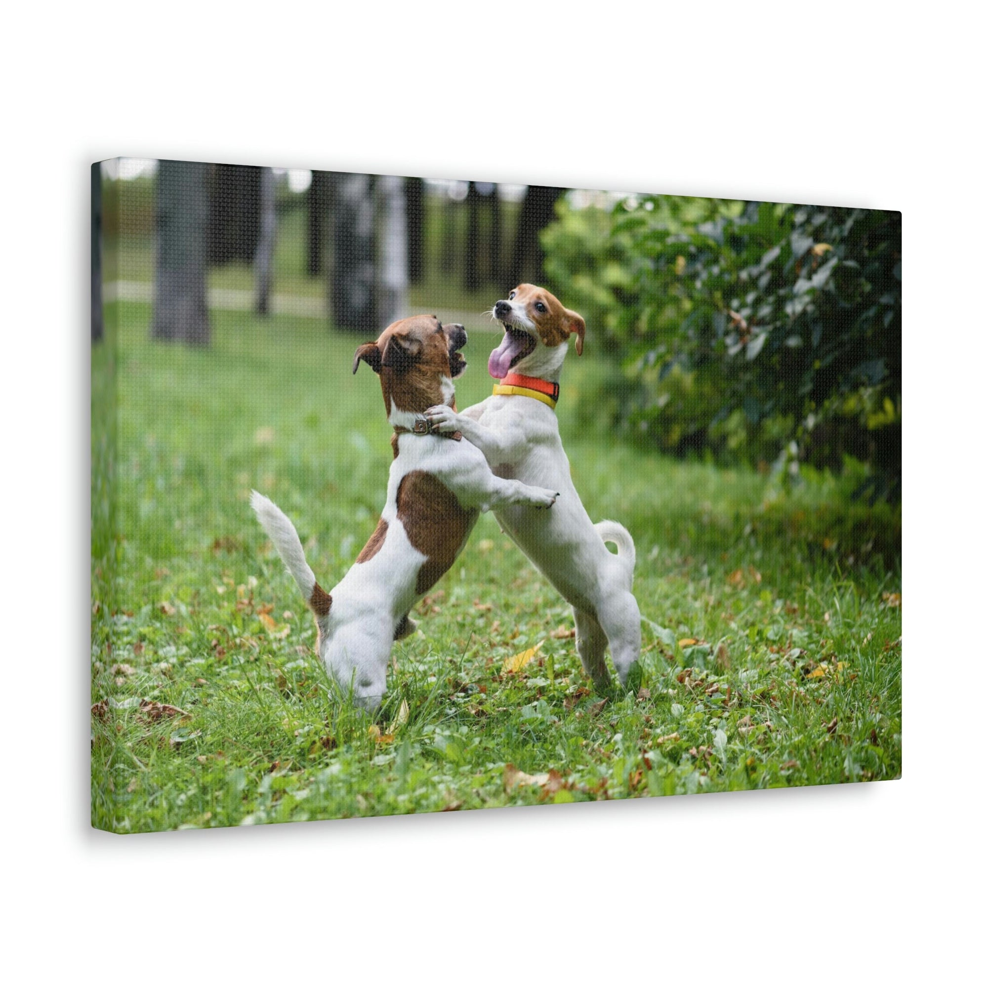 Scripture Walls Couple of Dog Playing on a Park Print Animal Wall Art Wildlife Canvas Prints Wall Art Ready to Hang Unframed-Express Your Love Gifts