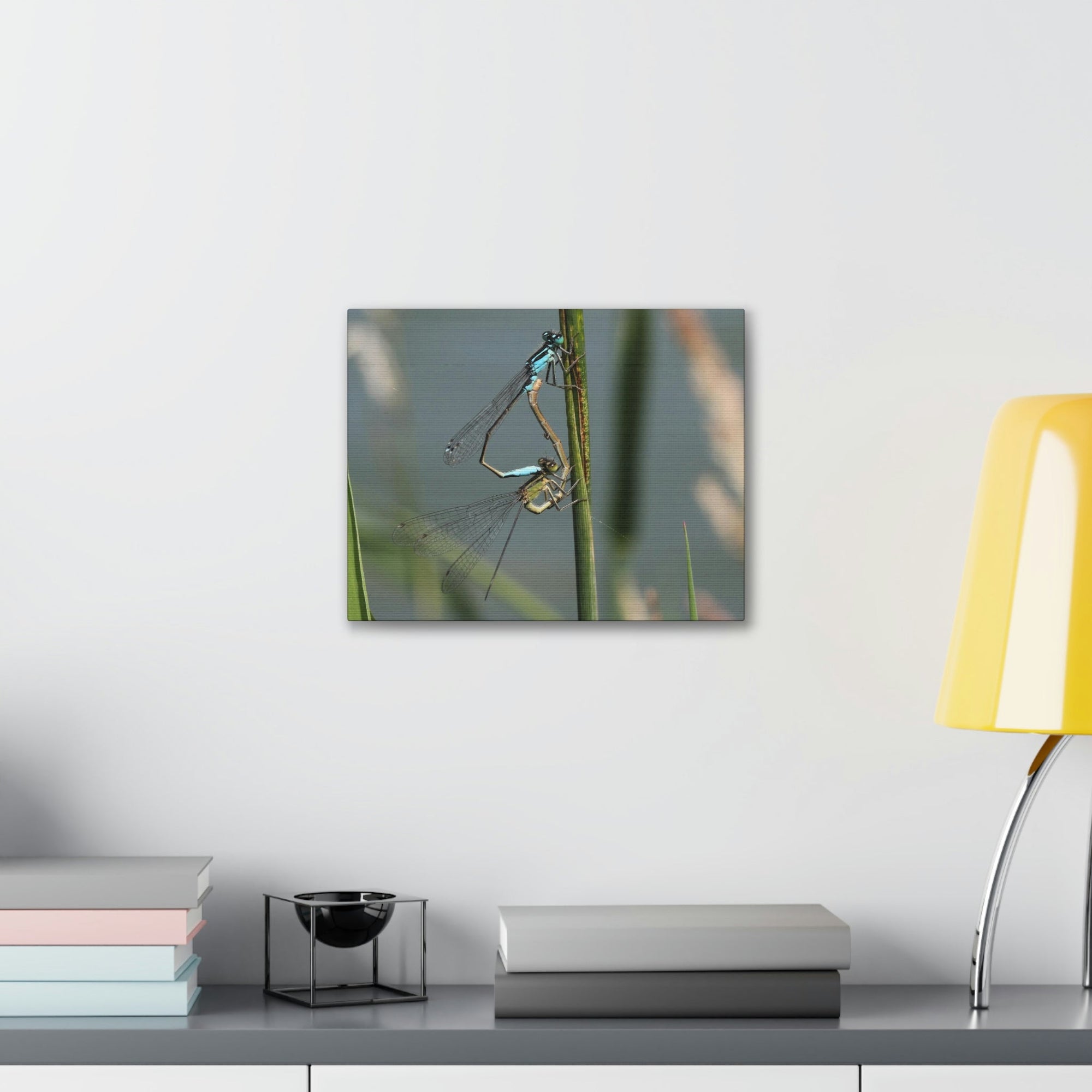 Scripture Walls Couple of Dragonfly on a Plant Print Animal Wall Art Wildlife Canvas Prints Wall Art Ready to Hang Unframed-Express Your Love Gifts