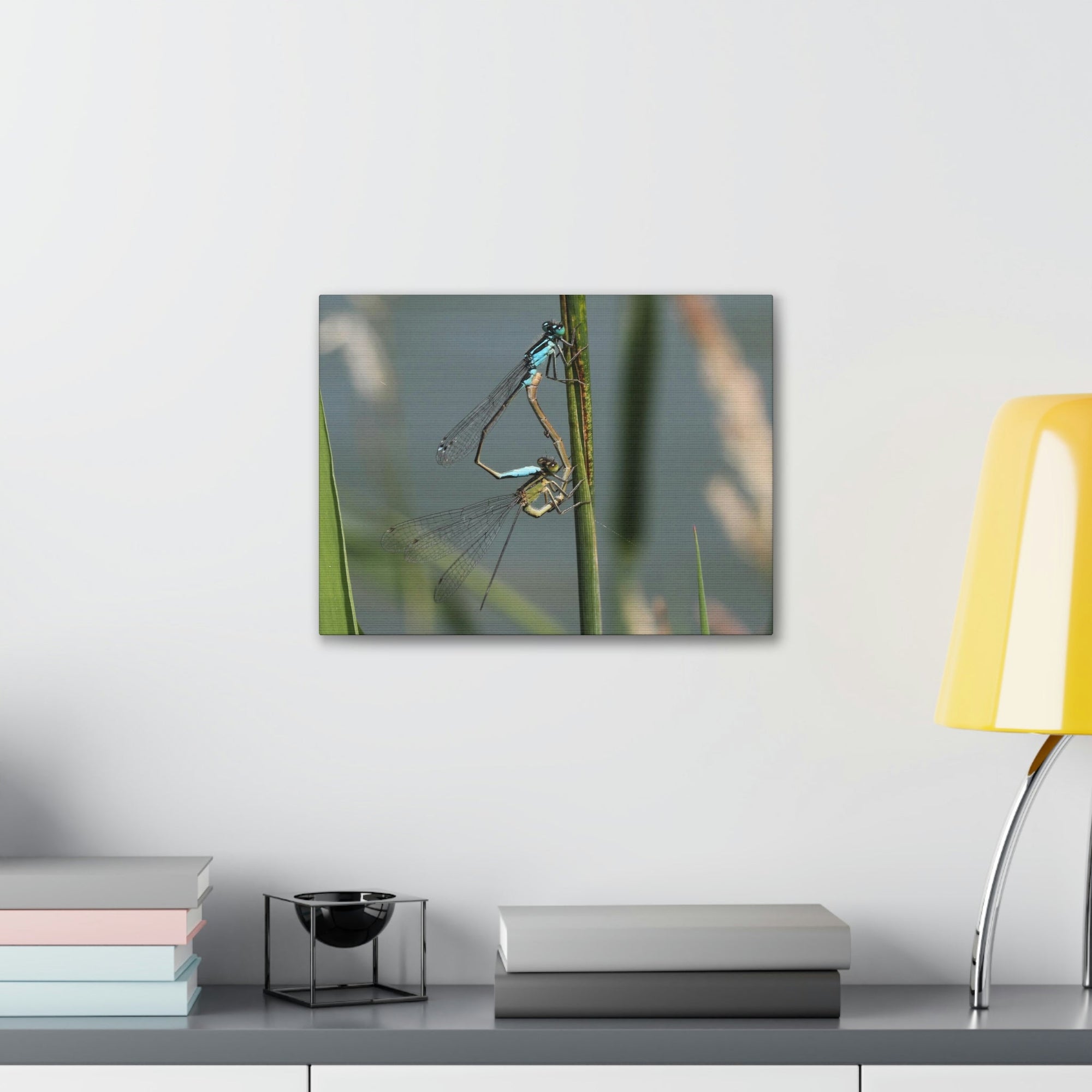 Scripture Walls Couple of Dragonfly on a Plant Print Animal Wall Art Wildlife Canvas Prints Wall Art Ready to Hang Unframed-Express Your Love Gifts