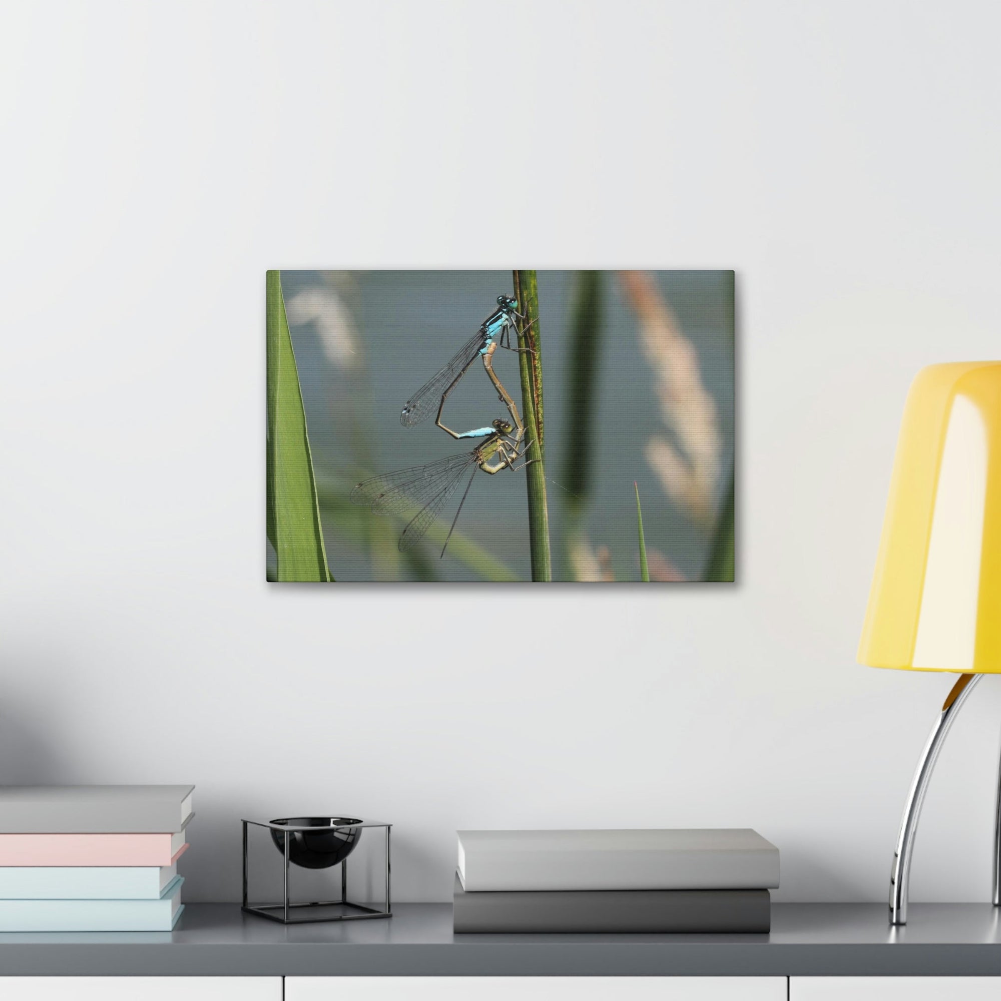 Scripture Walls Couple of Dragonfly on a Plant Print Animal Wall Art Wildlife Canvas Prints Wall Art Ready to Hang Unframed-Express Your Love Gifts