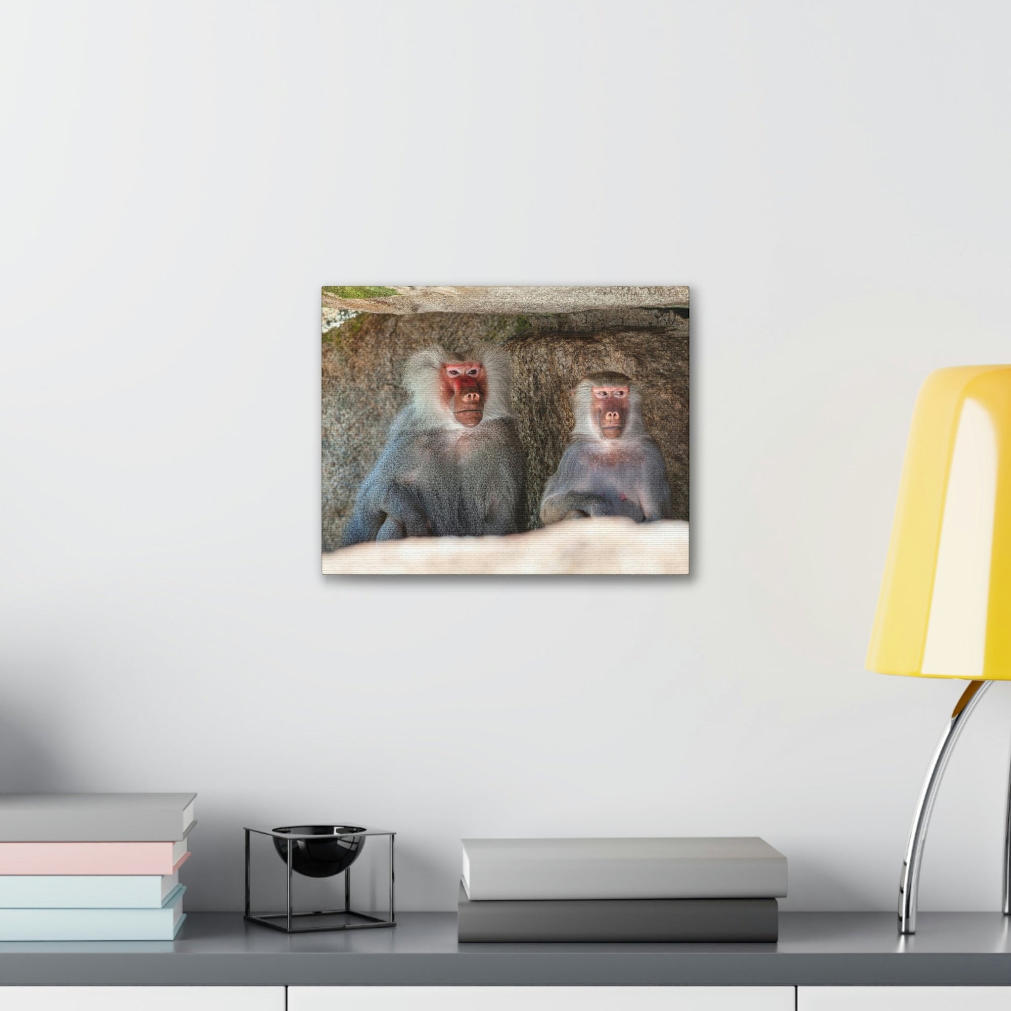 Couple of Funny Baboon Outside Wall Art Ready to Hang Unframed-Express Your Love Gifts