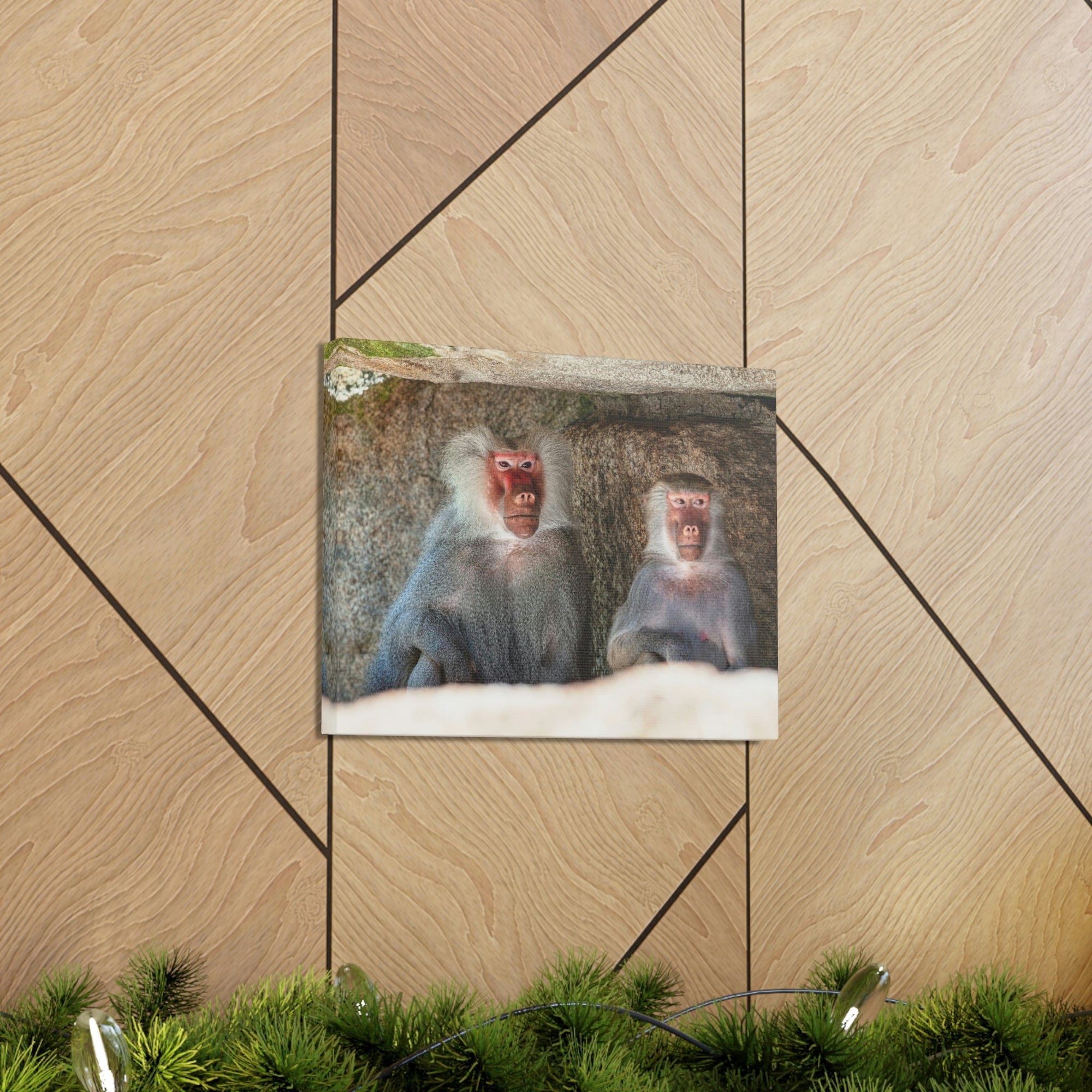 Couple of Funny Baboon Outside Wall Art Ready to Hang Unframed-Express Your Love Gifts