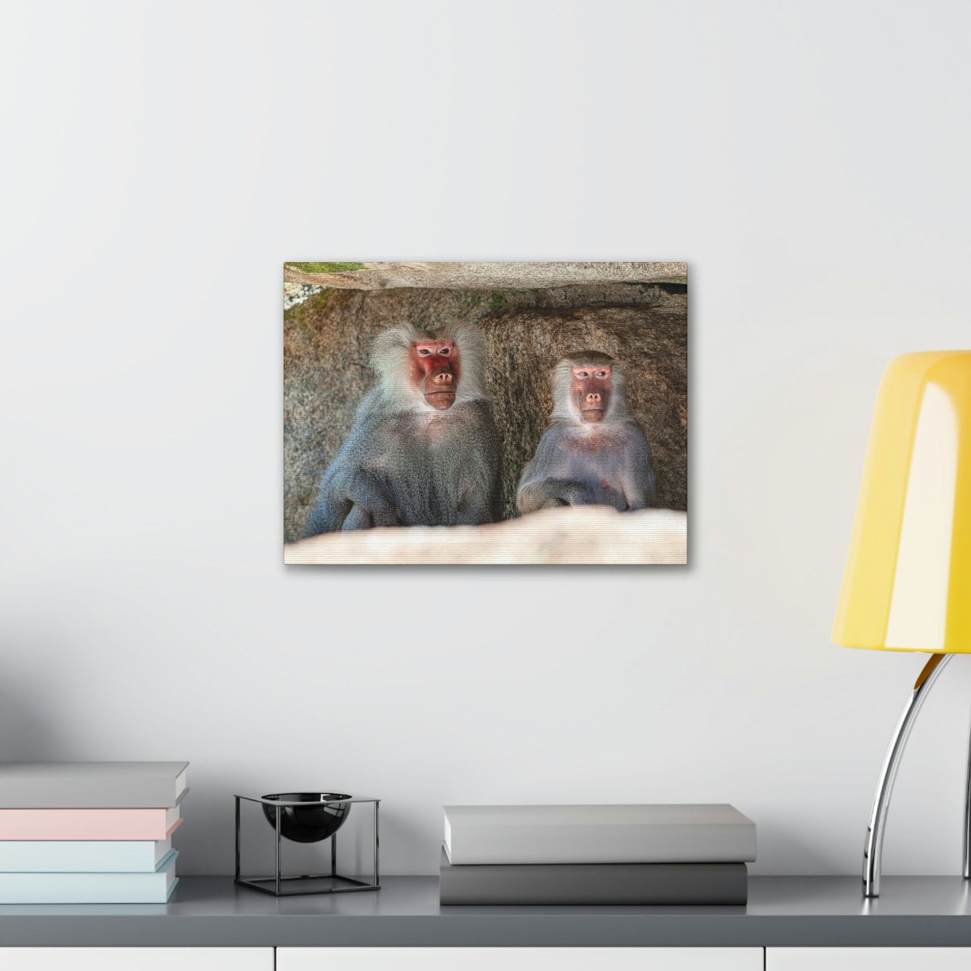 Couple of Funny Baboon Outside Wall Art Ready to Hang Unframed-Express Your Love Gifts