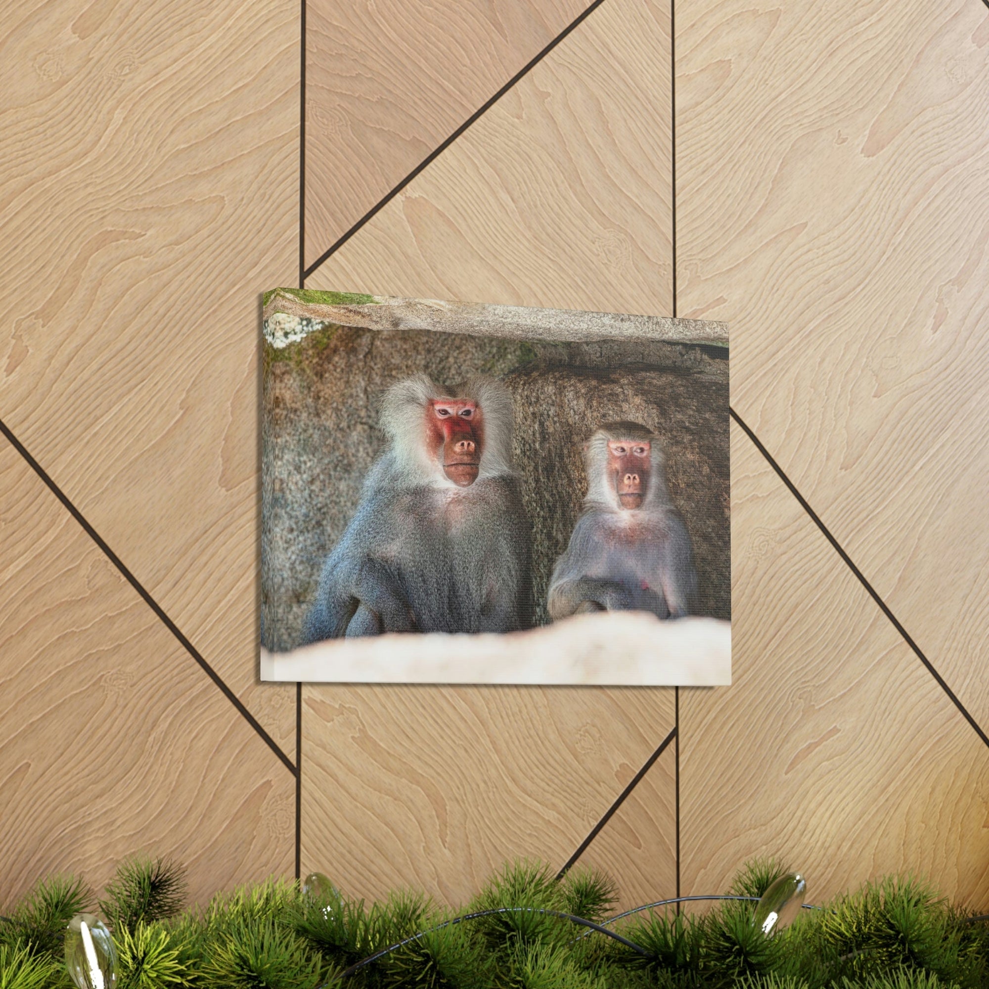 Couple of Funny Baboon Outside Wall Art Ready to Hang Unframed-Express Your Love Gifts