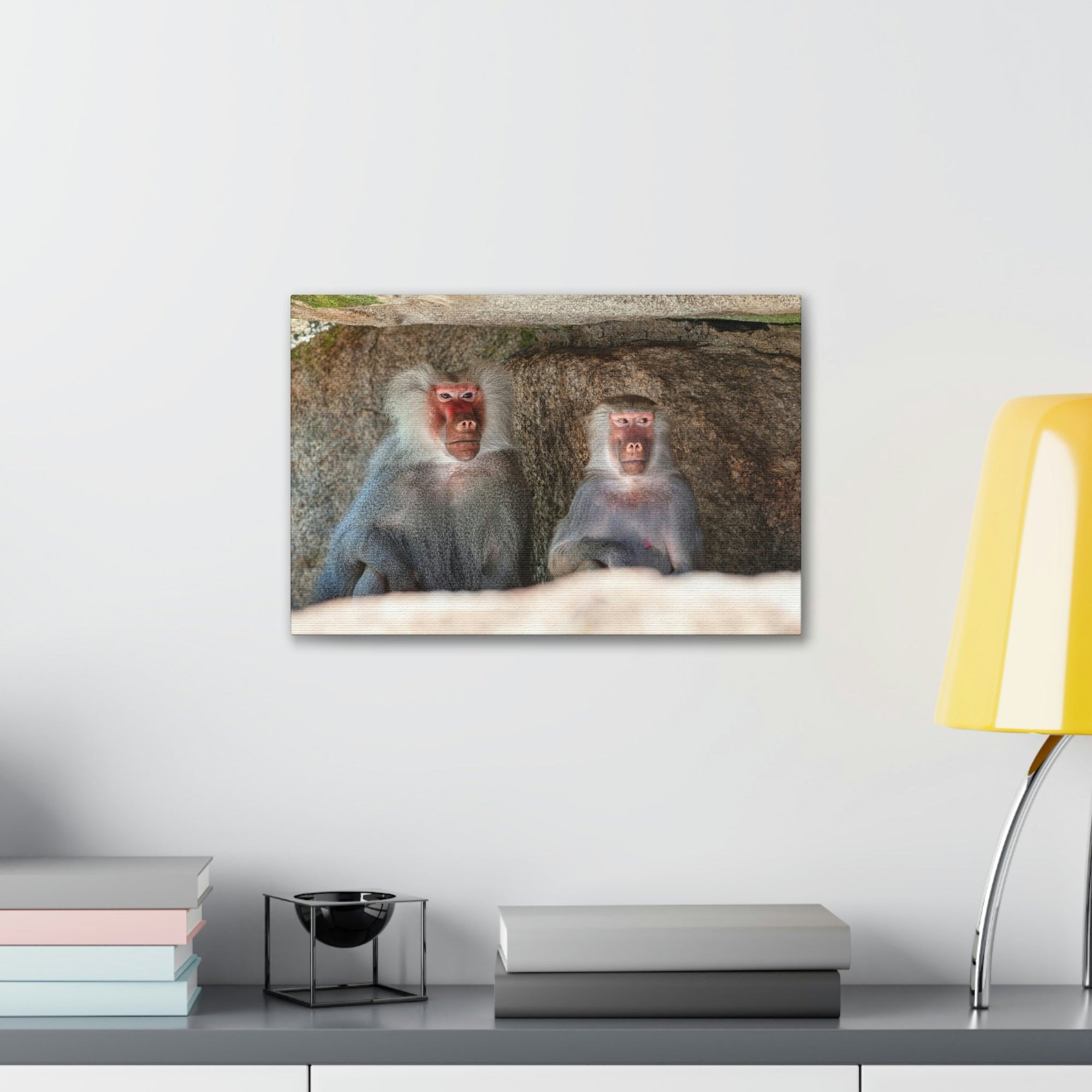 Couple of Funny Baboon Outside Wall Art Ready to Hang Unframed-Express Your Love Gifts