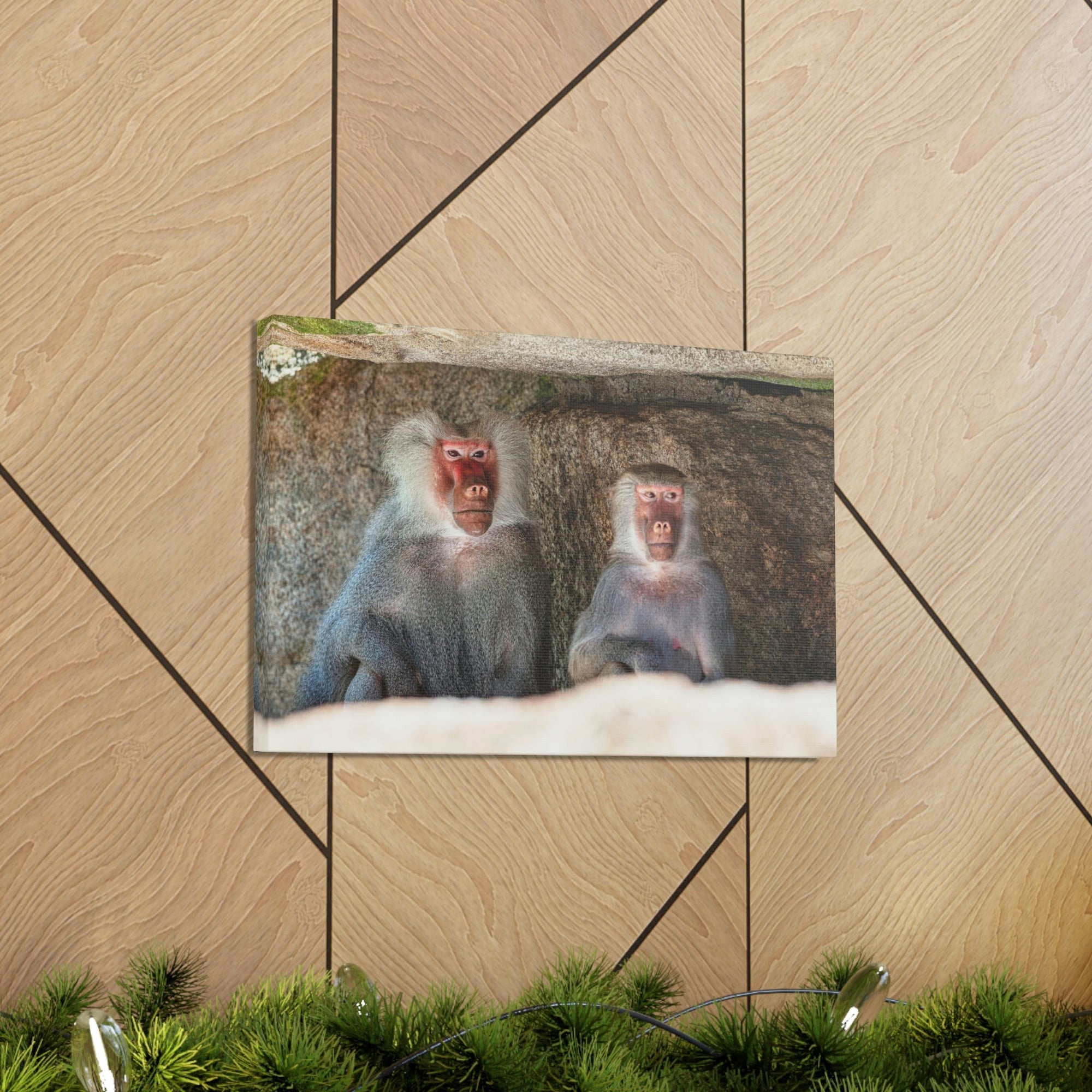 Couple of Funny Baboon Outside Wall Art Ready to Hang Unframed-Express Your Love Gifts