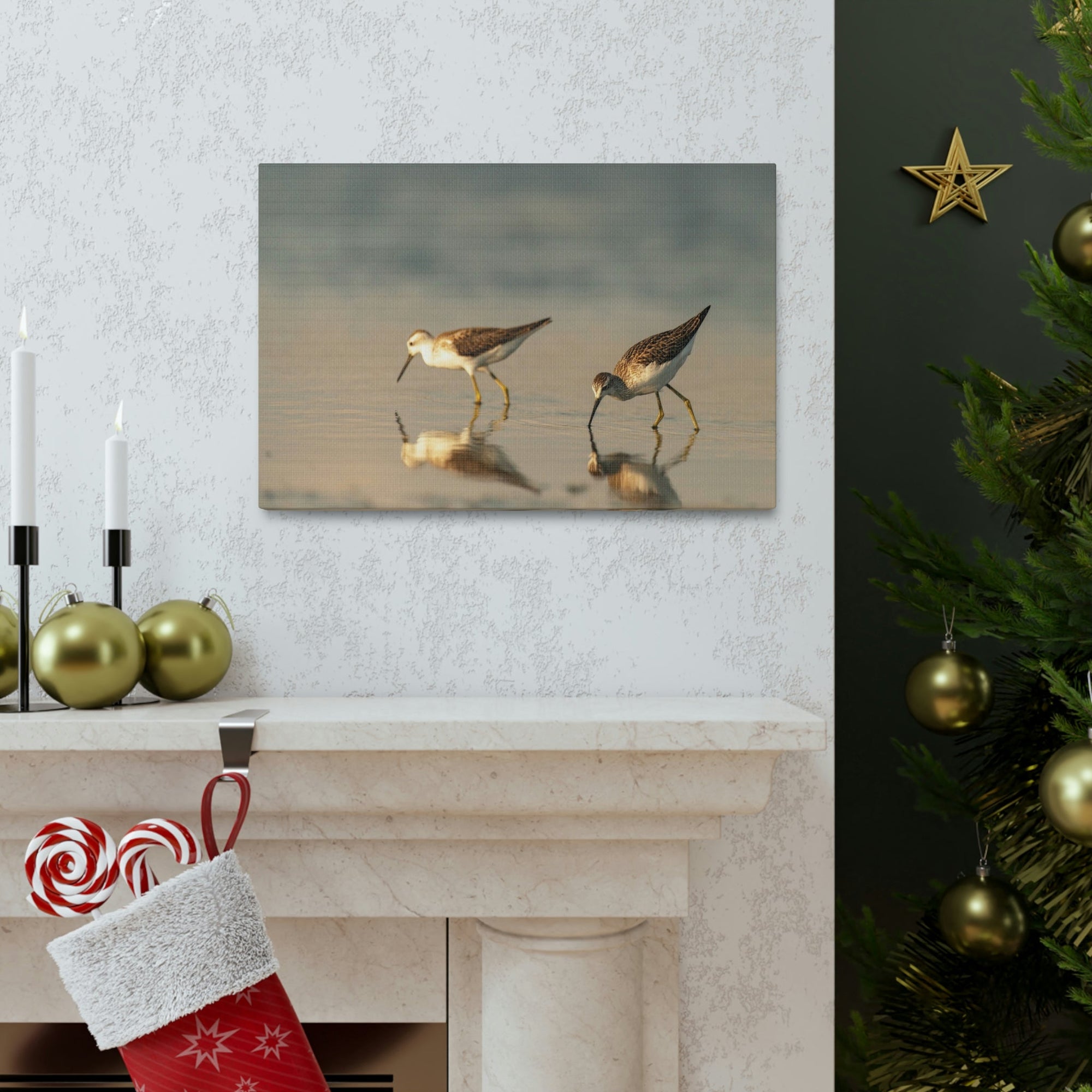 Scripture Walls Couple of Sandpiper Hunting for Food Animal Wall Art Wildlife Canvas Prints Wall Art Ready to Hang Unframed-Express Your Love Gifts