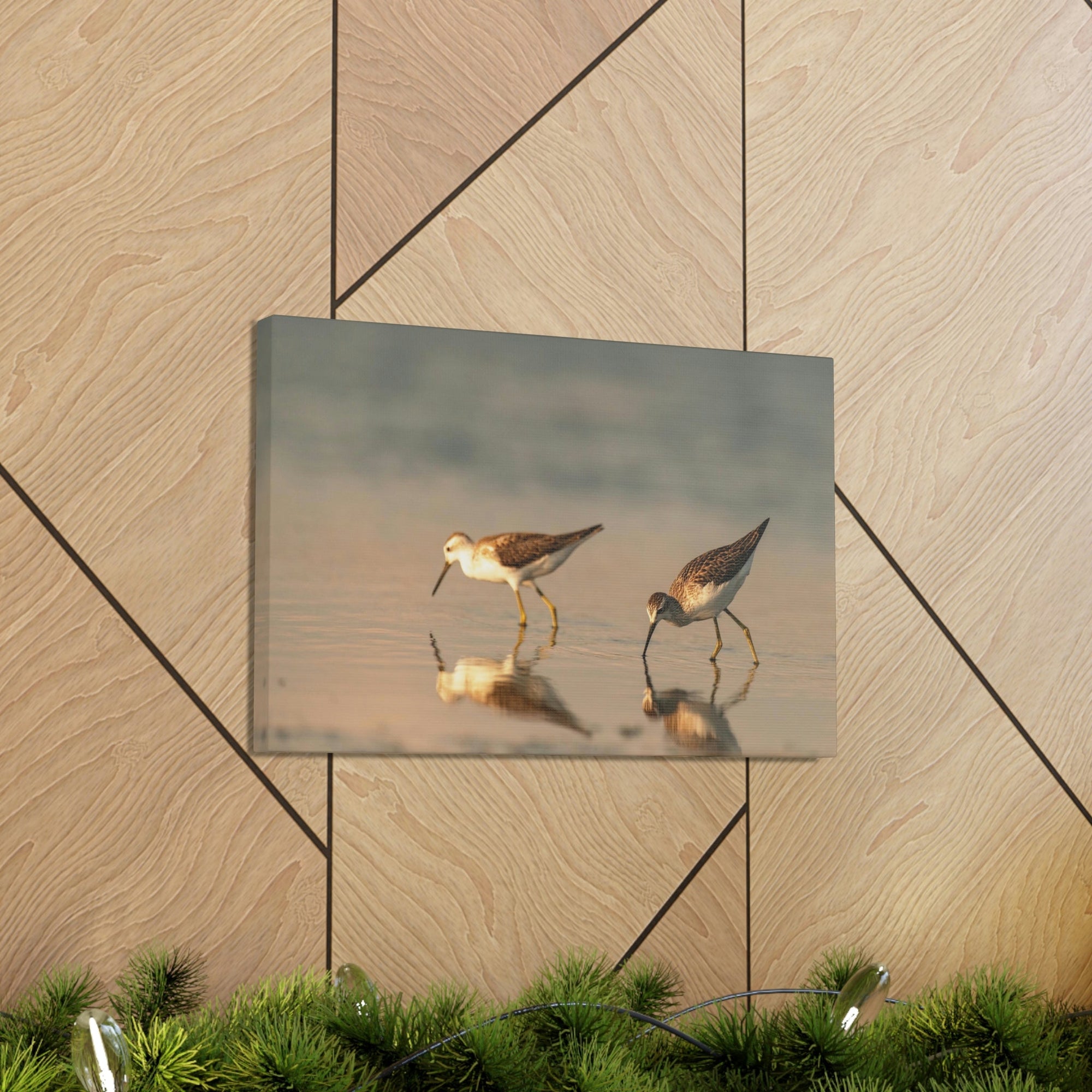 Scripture Walls Couple of Sandpiper Hunting for Food Animal Wall Art Wildlife Canvas Prints Wall Art Ready to Hang Unframed-Express Your Love Gifts