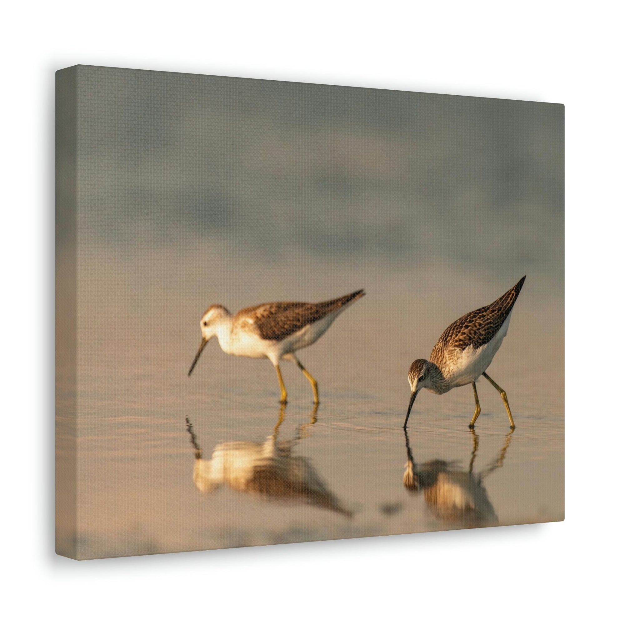 Scripture Walls Couple of Sandpiper Hunting for Food Animal Wall Art Wildlife Canvas Prints Wall Art Ready to Hang Unframed-Express Your Love Gifts